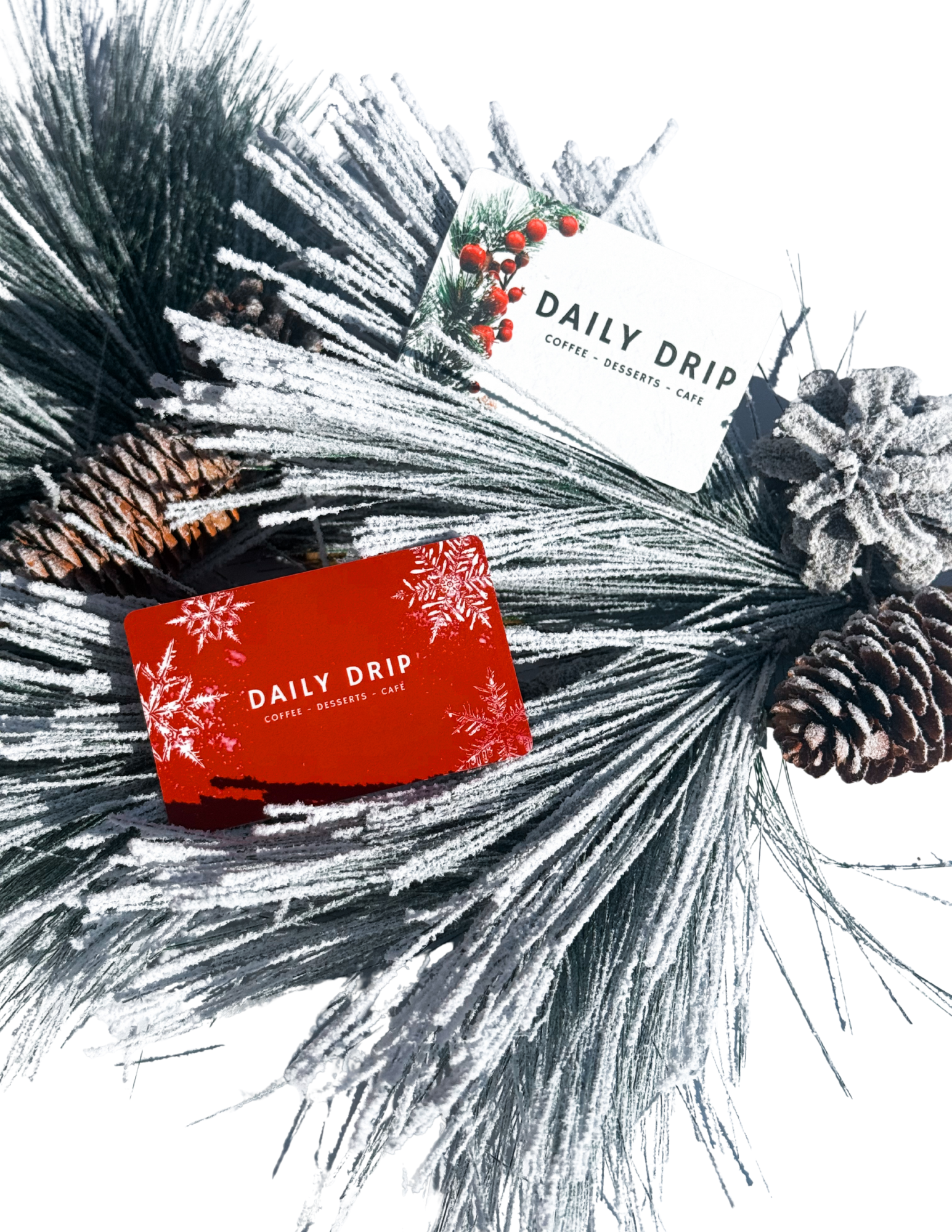 Physical In-Store Gift Card