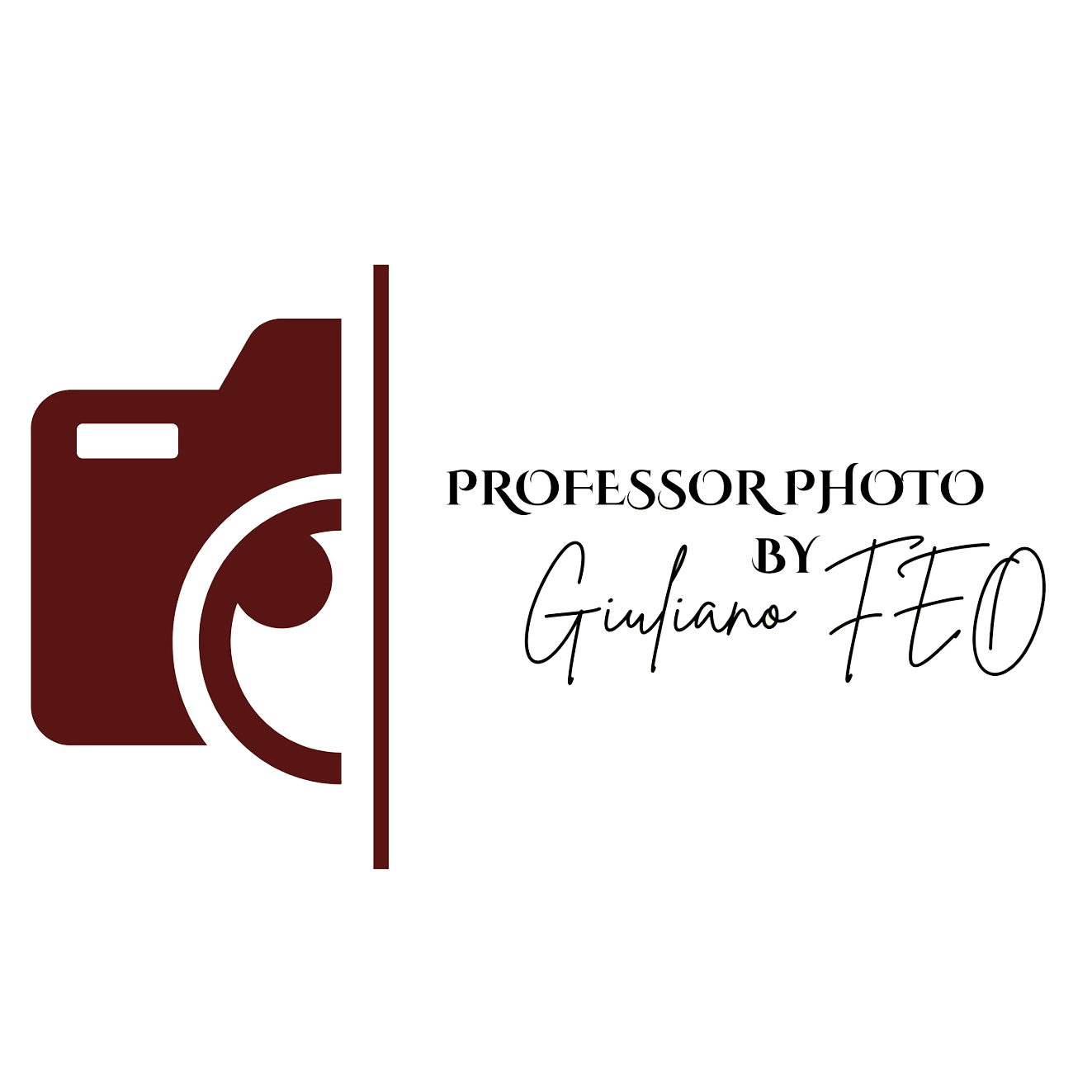 foto feo logo.png