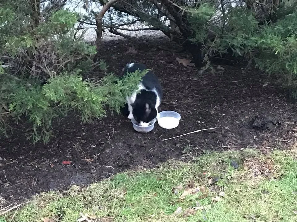  TC at his favorite spot outside of Tunnel City Coffee  