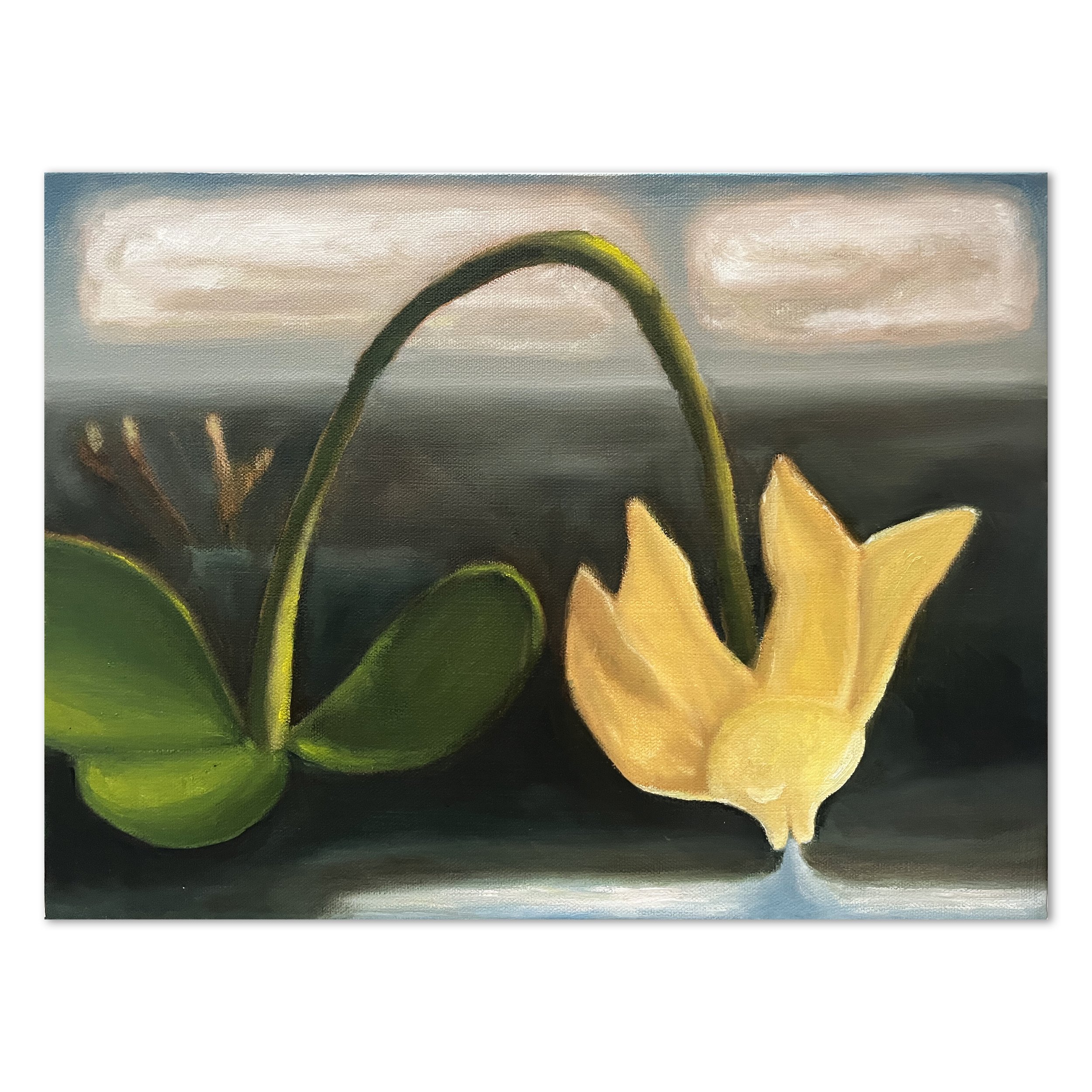 A Parched Flower, 2024