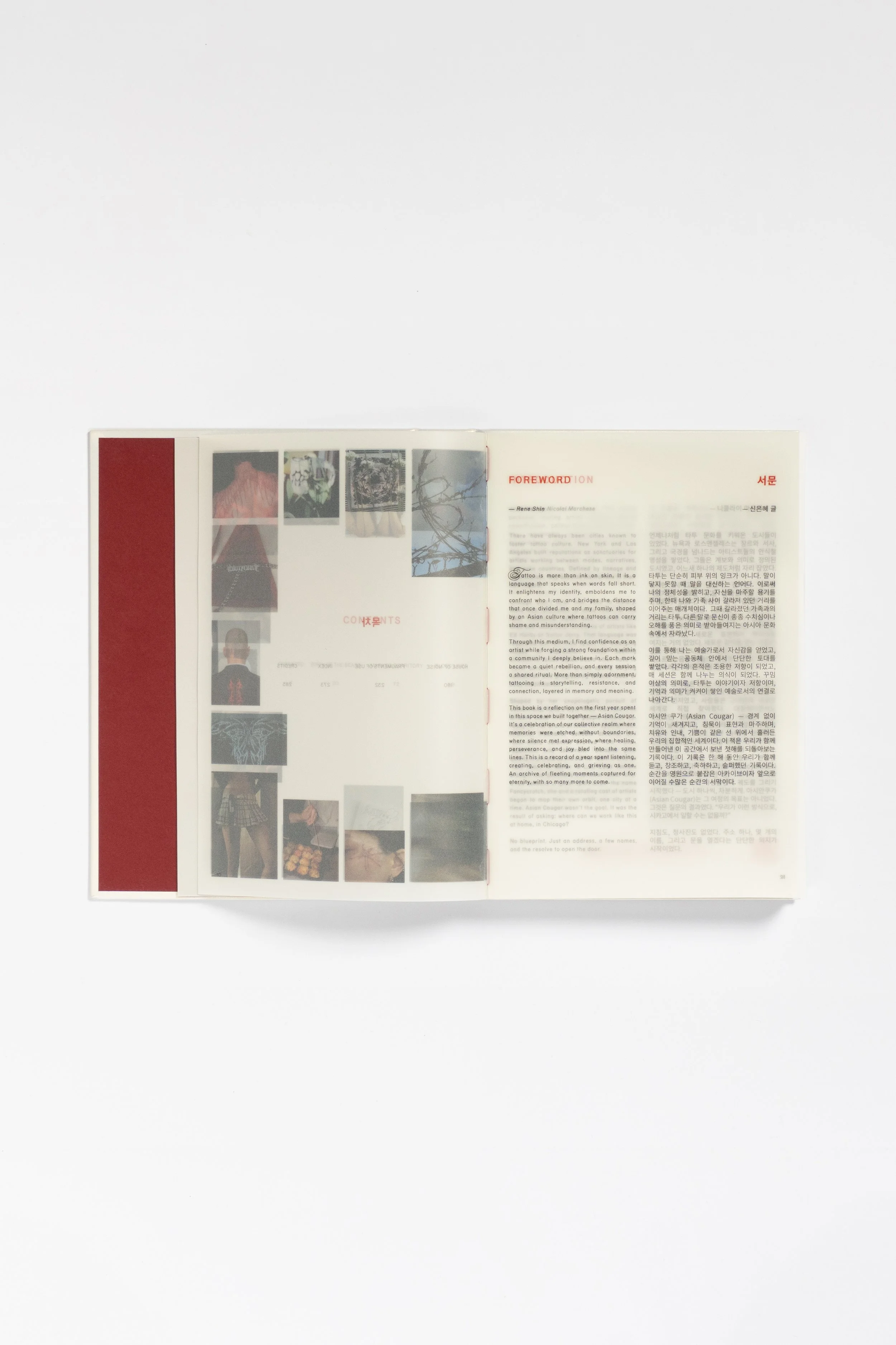 AC_Book_Photo_FlatLay_2x3_0001_13.jpg