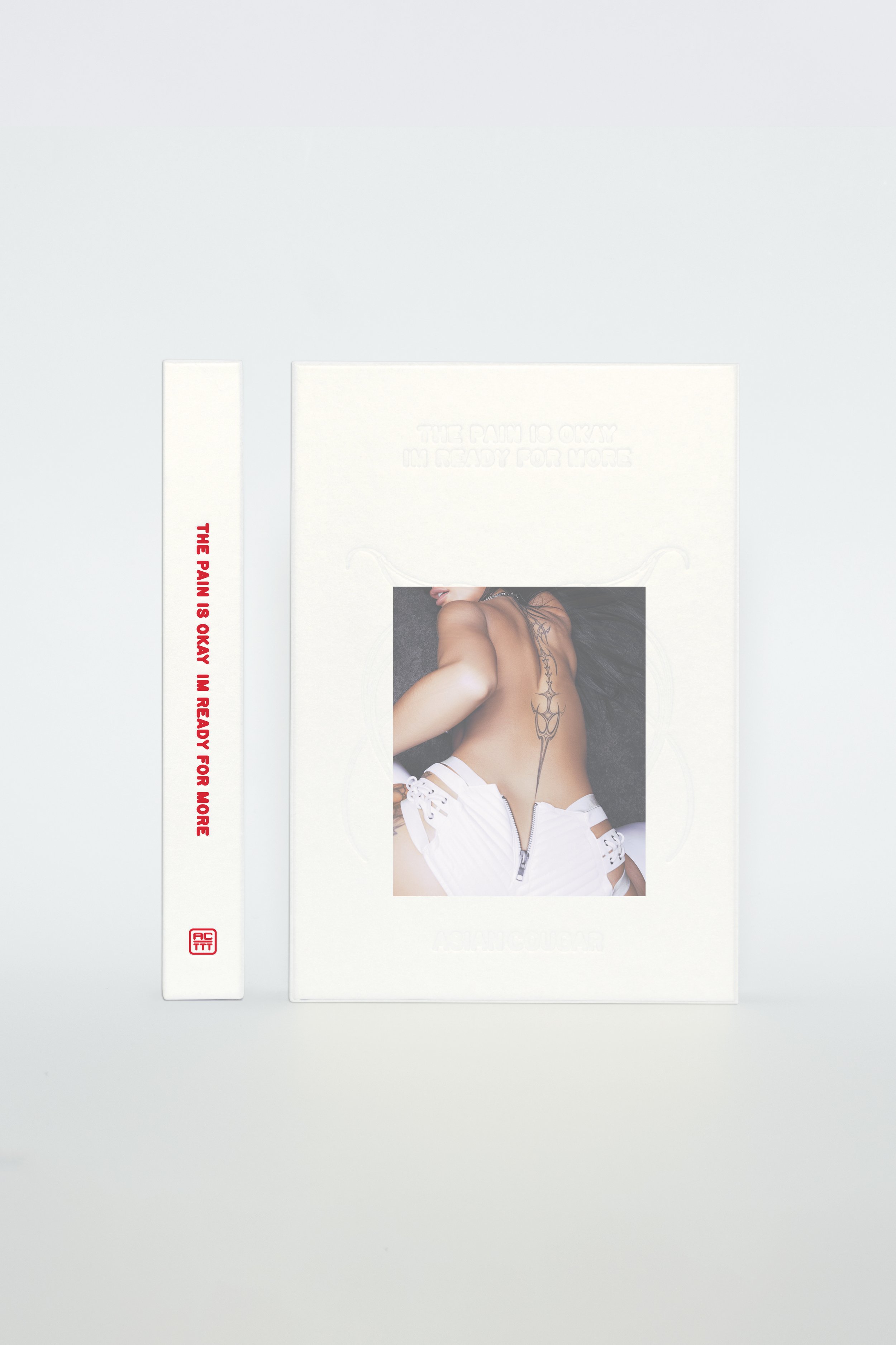 AC_Book_Standing_CombO_2x3_0001_2.jpg