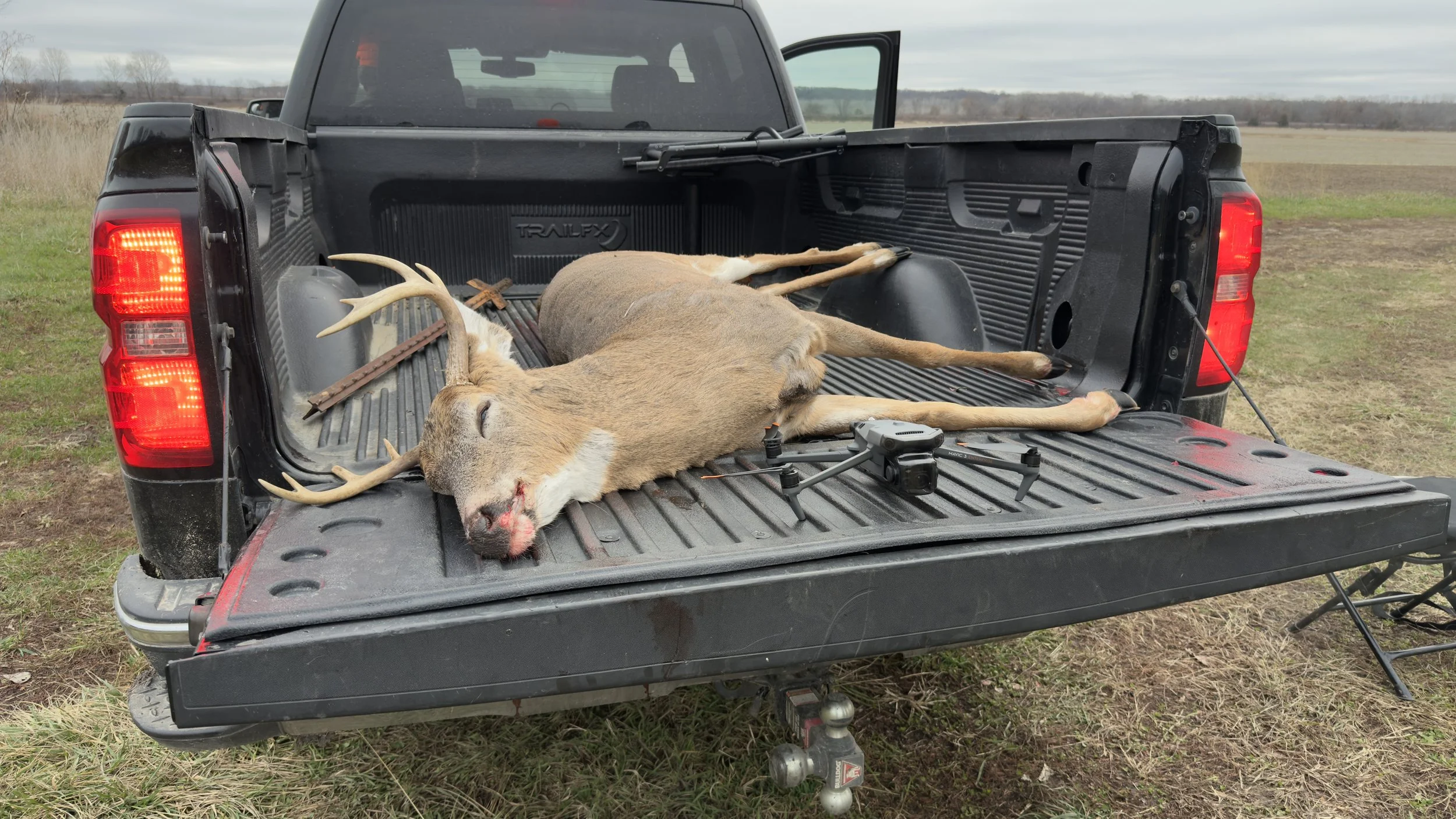 Deer Recovery