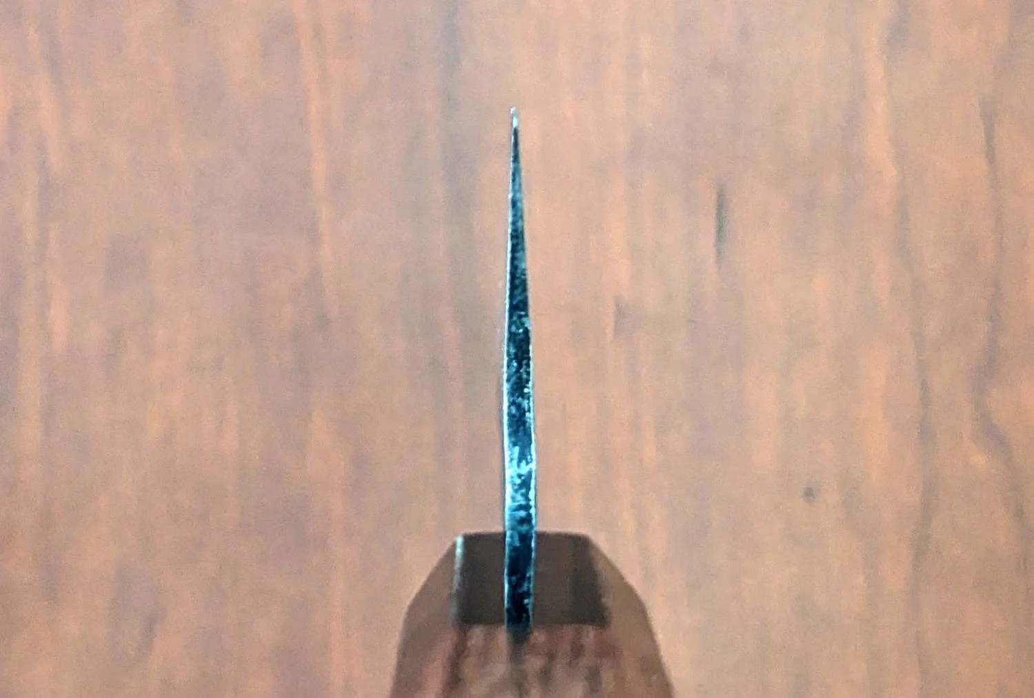 Kiritsuke_7in_2.jpg