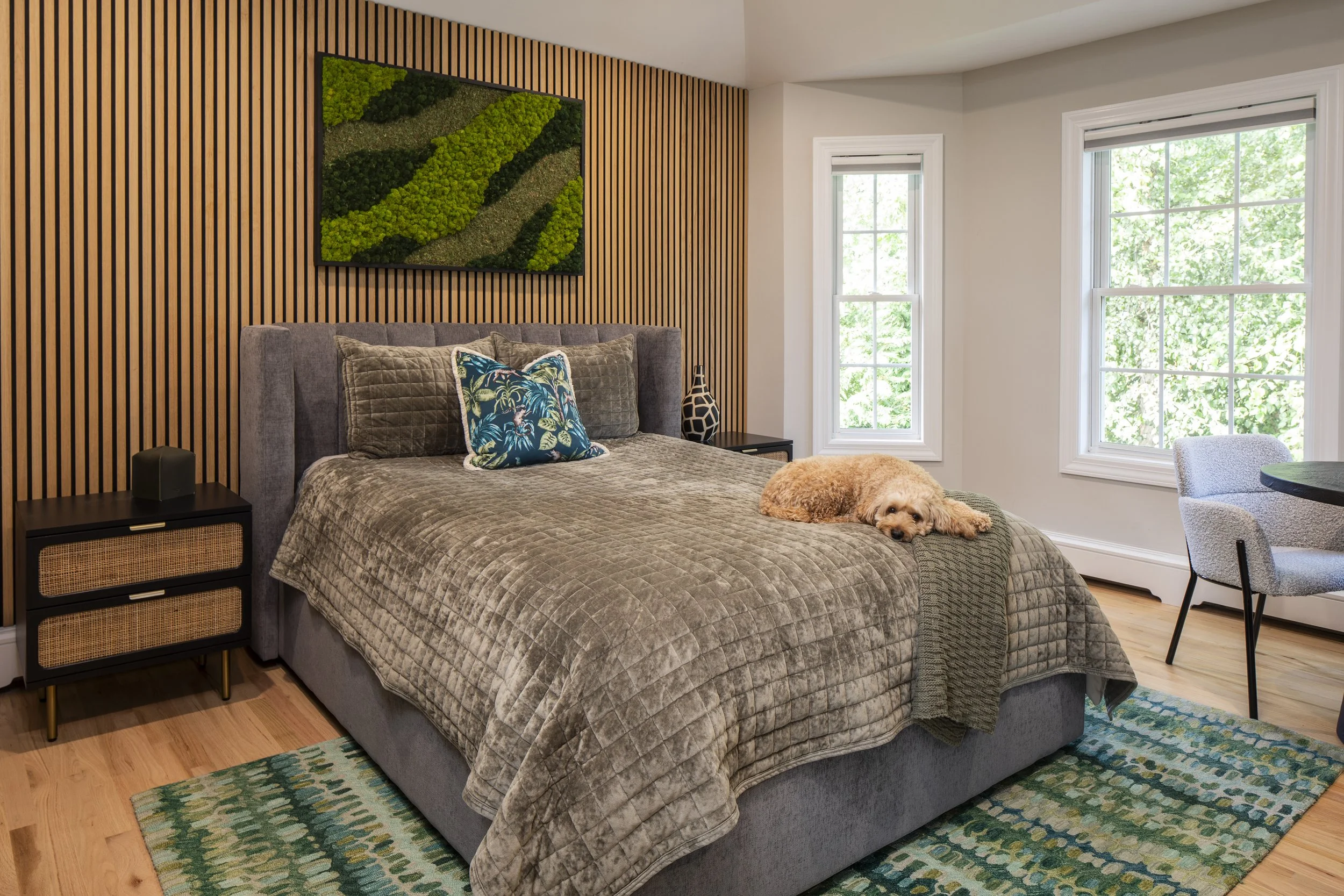 A bedroom with a gray bed, decorative pillows, a black nightstand, and a dog lying on the bed. There are two windows with greenery outside, a colorful rug, and modern decor, including a textured wall art and a ceramic vase.