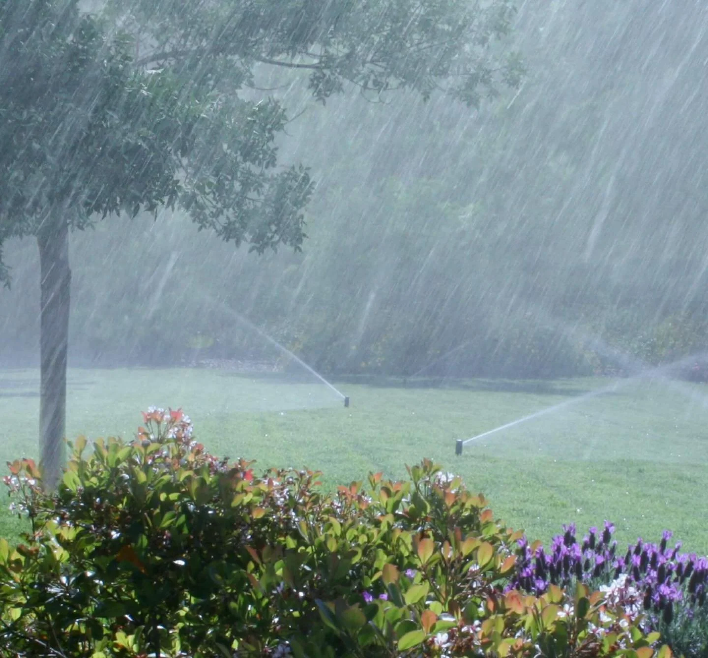 💧⚡️**Florida Storms Can Be Brutal &ndash; Is Your Irrigation System Ready?**⚡️💧

Between heavy rains and surprise dry spells, Florida weather can be tough on your lawn AND your irrigation system. 🌧️☀️

💥Storm season tip: After a storm, your irrig