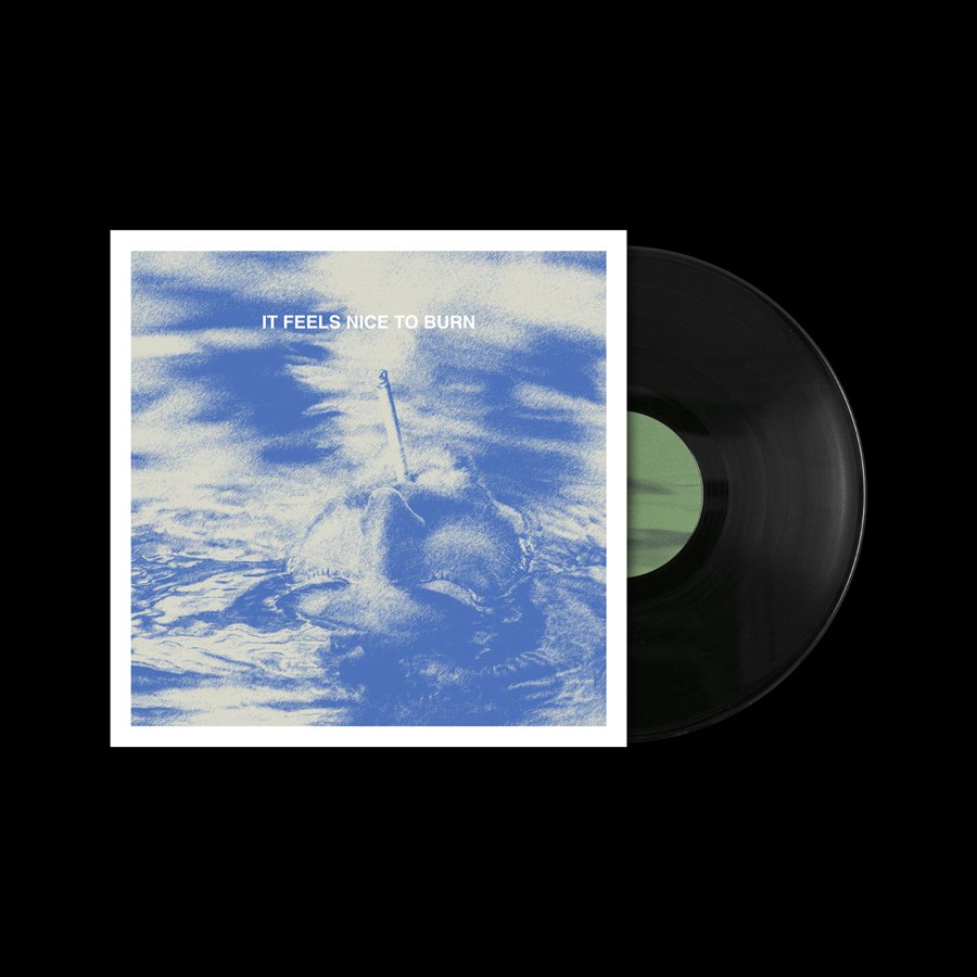 It Feels Nice to Burn Vinyl