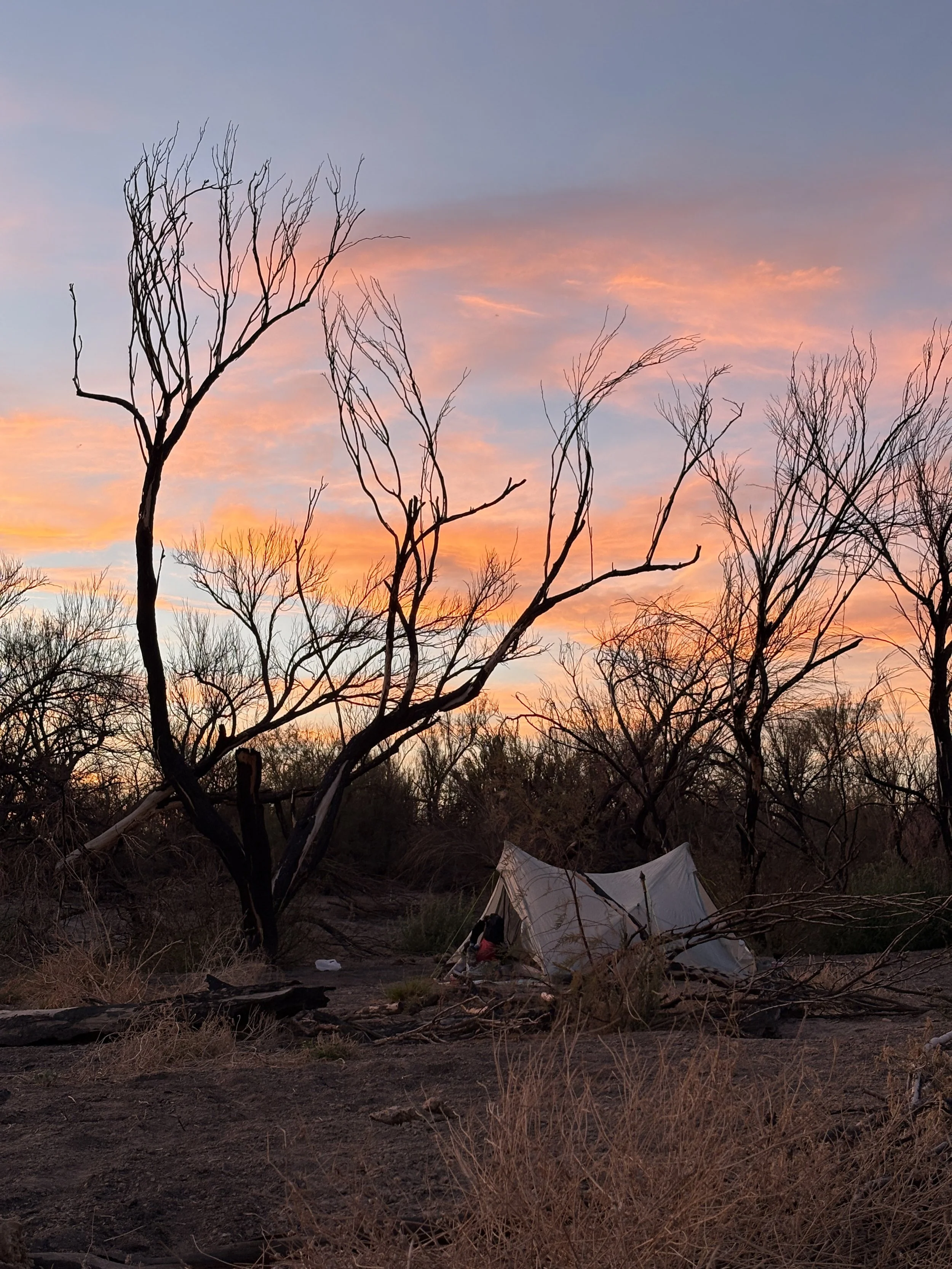 Charlie's tent set up for the inaugural xTx thru hike