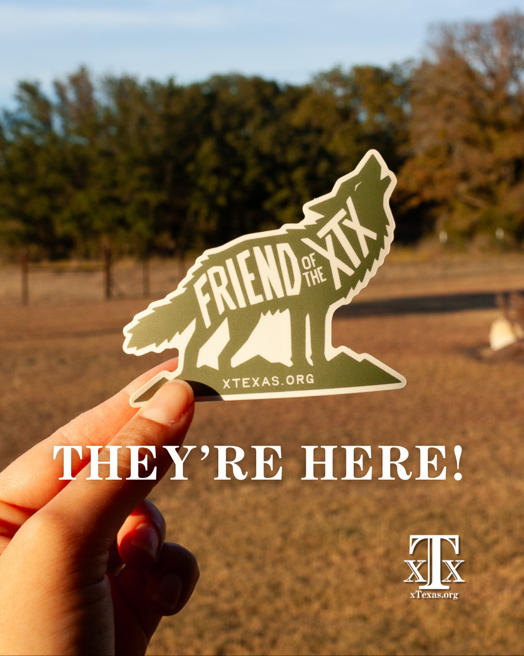 New Friends stickers 111425.png