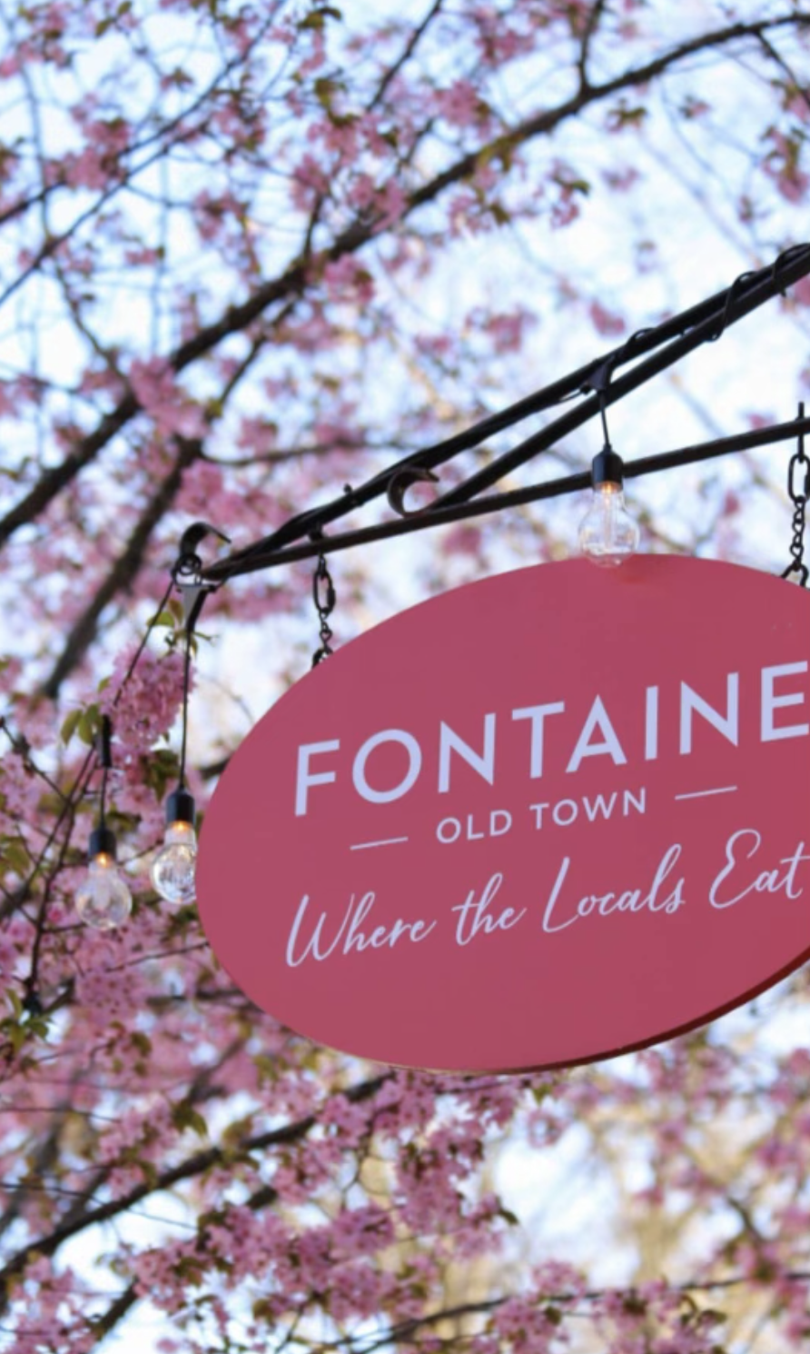 Screenshot 2024-03-11 at 11.35.18 AM.png