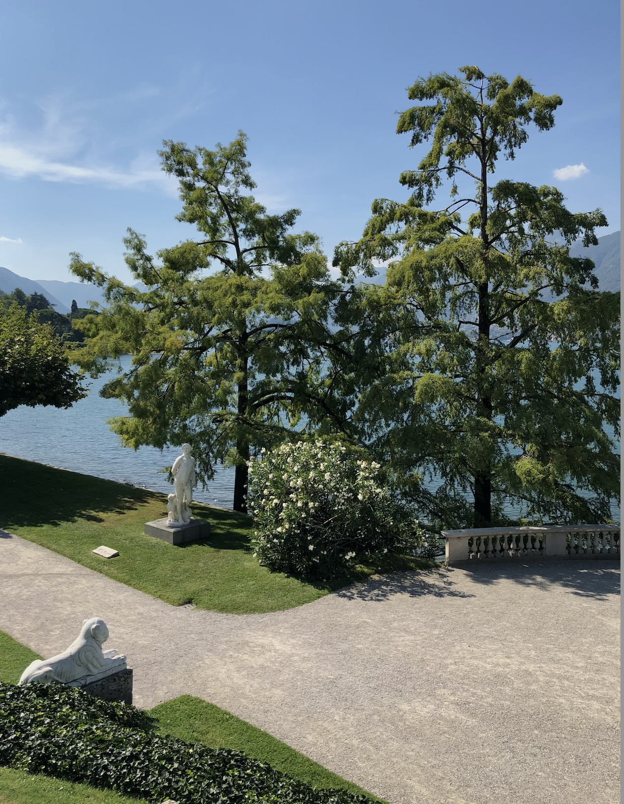 Screenshot 2024-11-24 at 7.19.49 PM.png