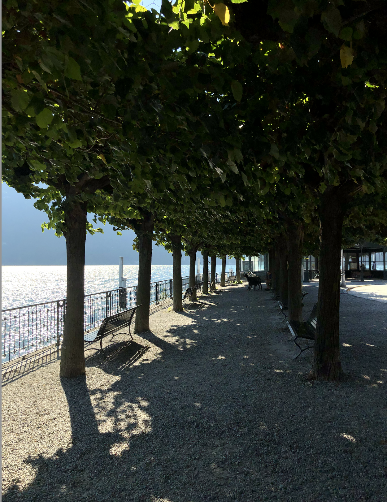 Screenshot 2024-11-24 at 7.15.29 PM.png