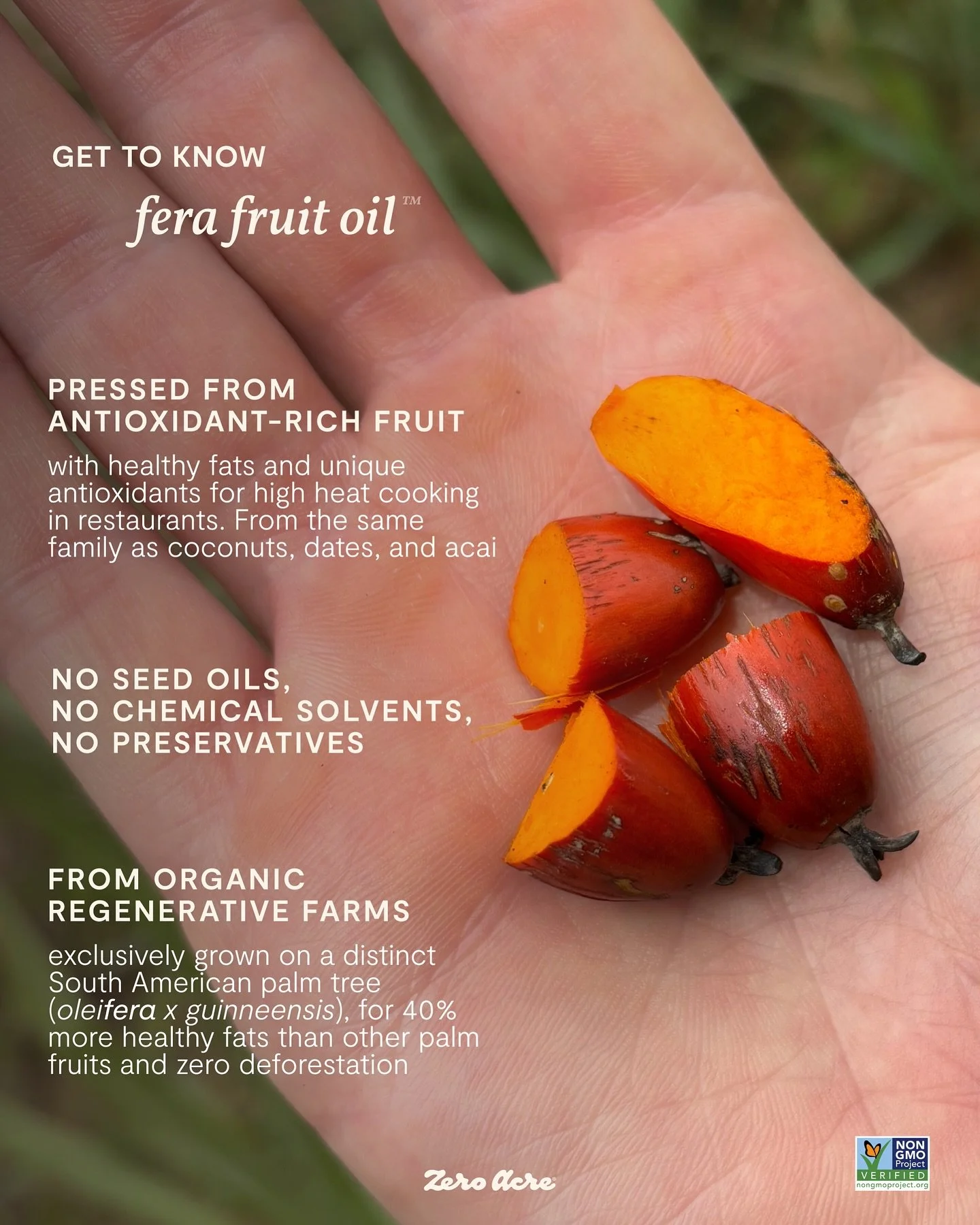 Fera Fruit Oil for Frying — Yes, It’s a Thing