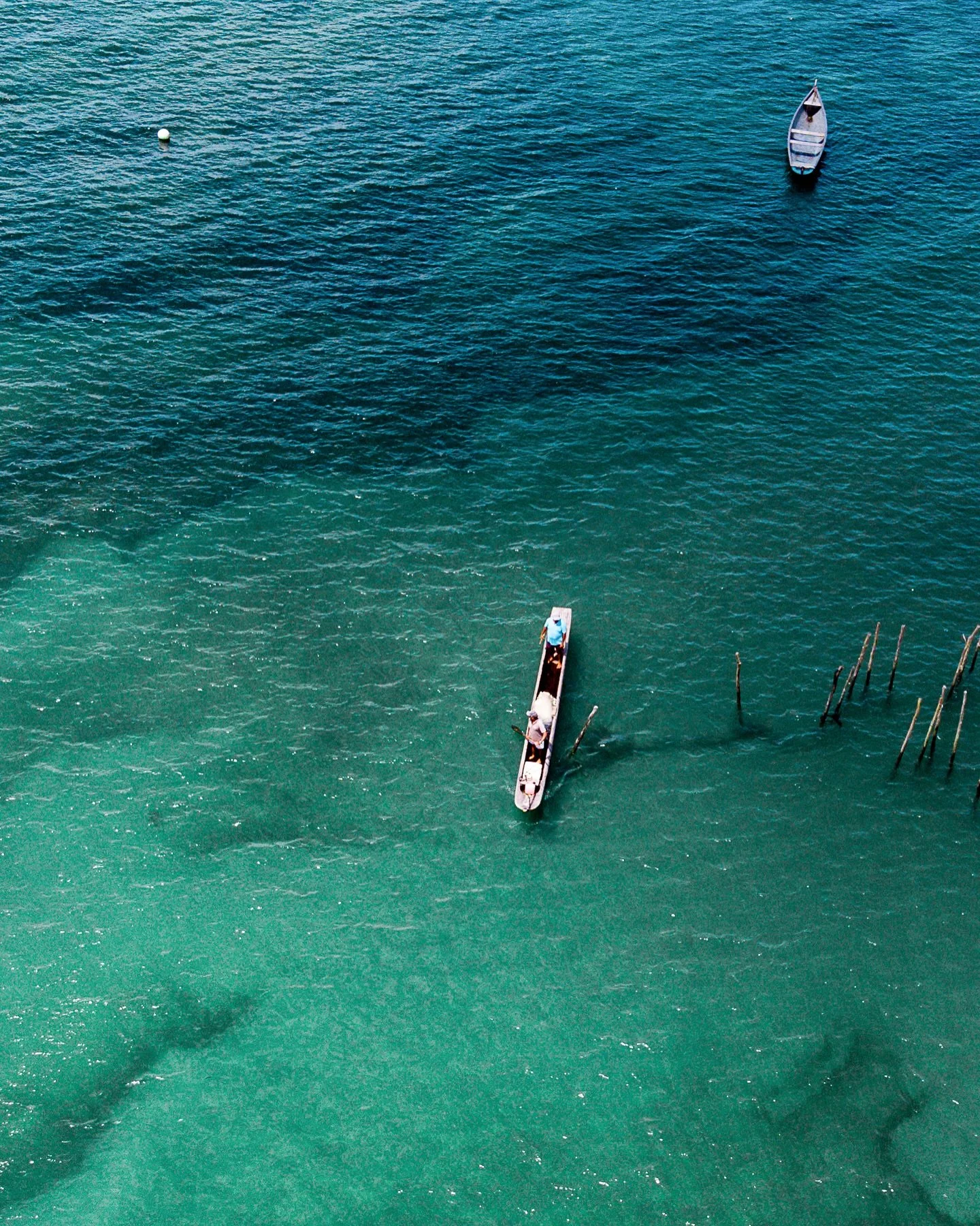 Uma conex&atilde;o aut&ecirc;ntica com o mar.🍃

An authentic connection with the sea.🍃
.
.
.
.
#beachfront #beachlife #brazil #bahia #peninsulademarau #taipudefora #villakandui