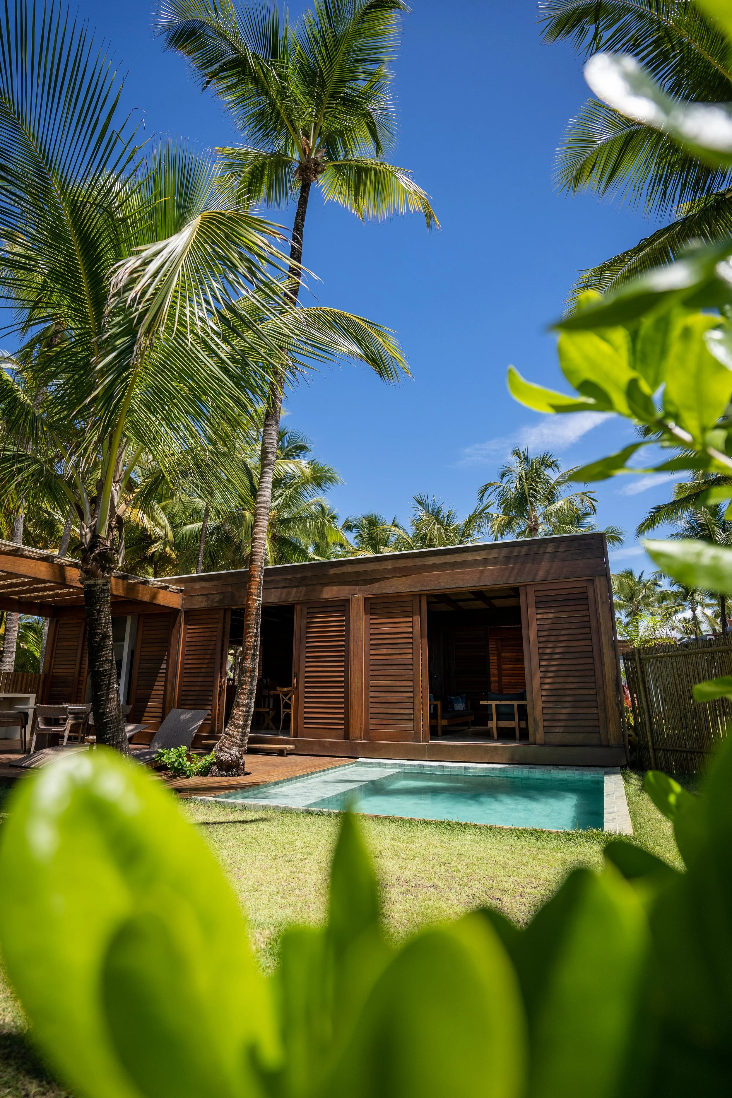 Casa de madeira moderna com piscina, cercada por palmeiras e vegetação exuberante, sob um céu azul claro.