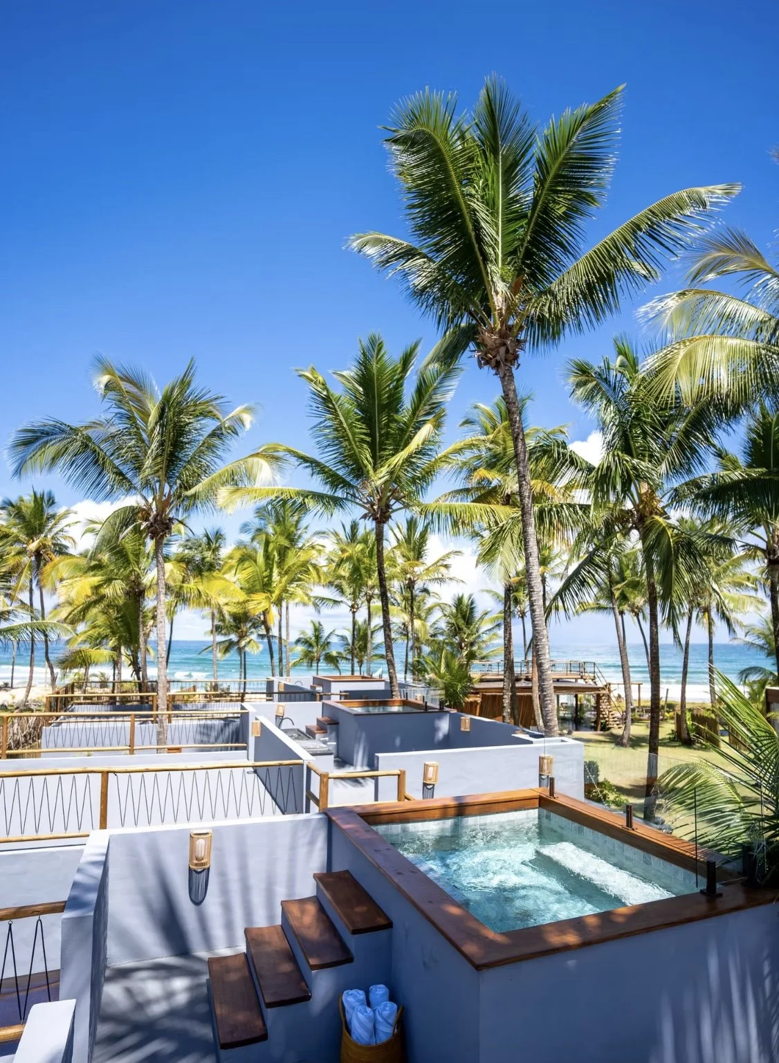 Piscina de borda infinita cercada por palmeiras, com vista para o mar e céu azul claro.