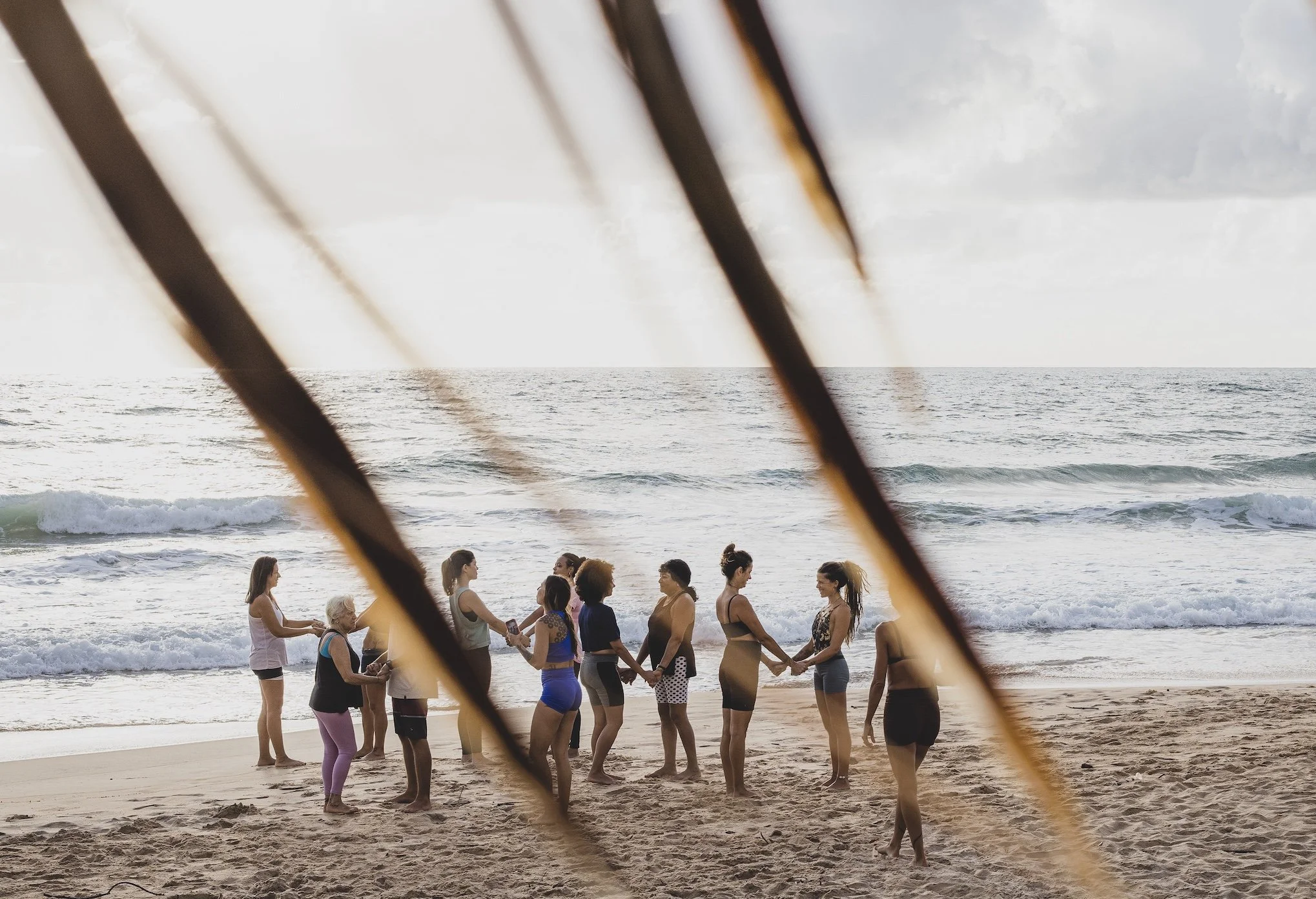 Grupo de pessoas na praia, formando laço e segurando as mãos, com ondas do mar ao fundo, visto através de folhas em primeiro plano.
