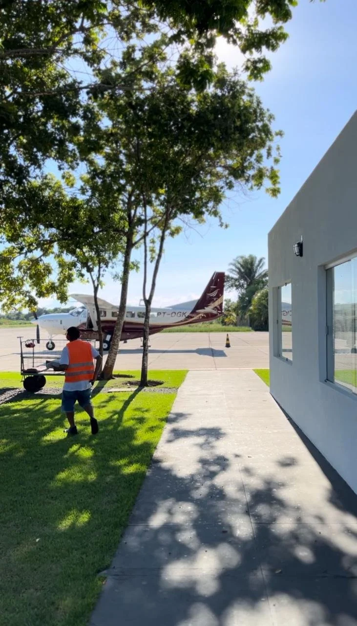 Pessoa com colete laranja empurrando carrinho de comida próximo a uma árvore no aeroporto, com avião ao fundo.