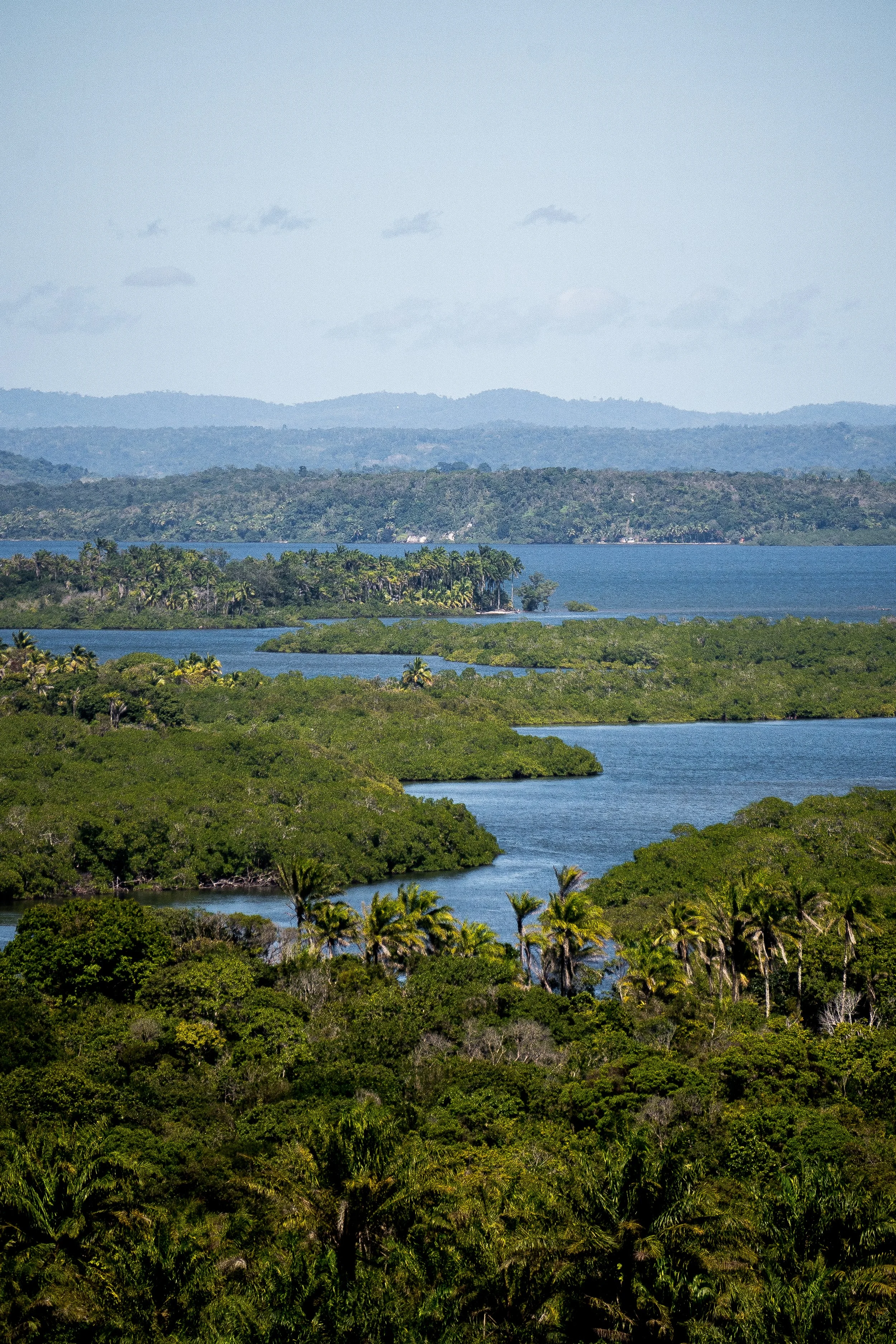 Paisagem de manguezal com ilhas cobertas por vegetação verde exuberante, água azul e colinas ao fundo, sob céu claro.