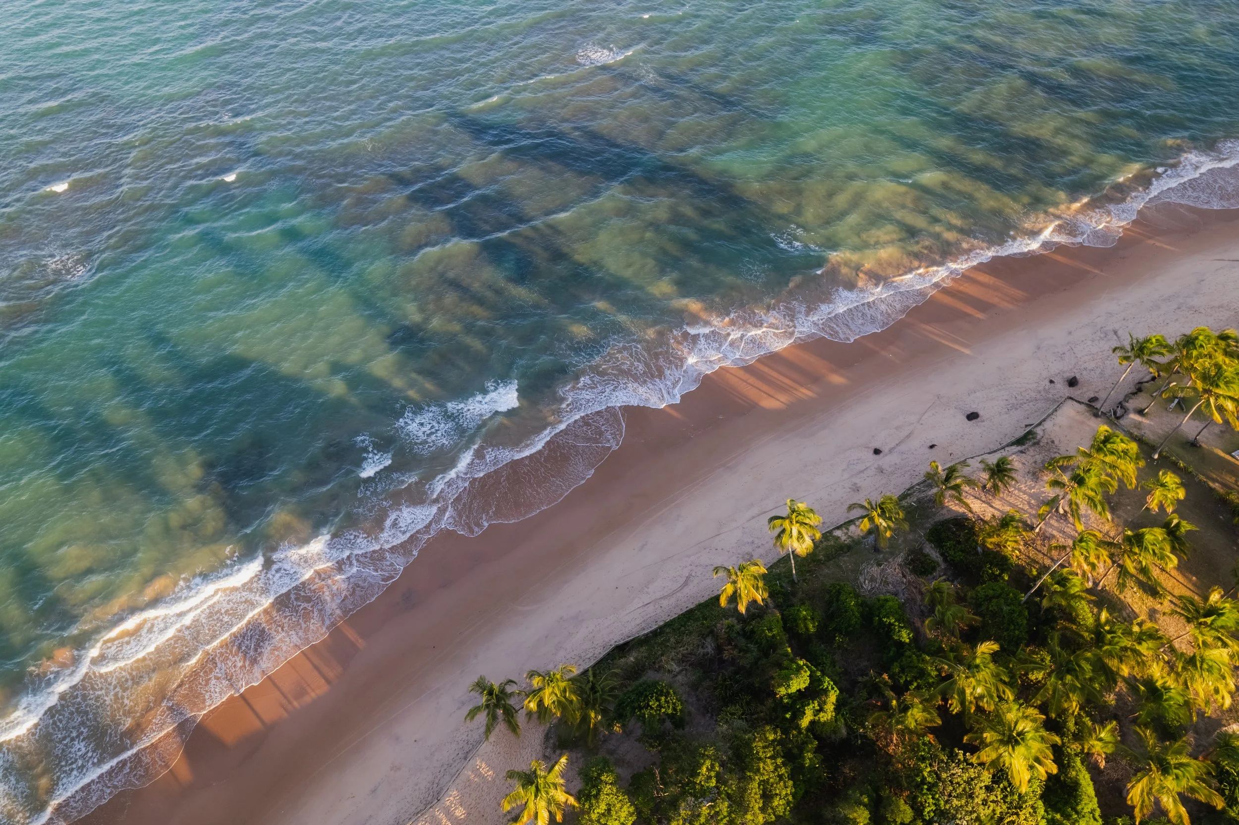 Vista aérea de uma praia com areia clara, ondas do mar, e palmeiras verdes ao longo da orla