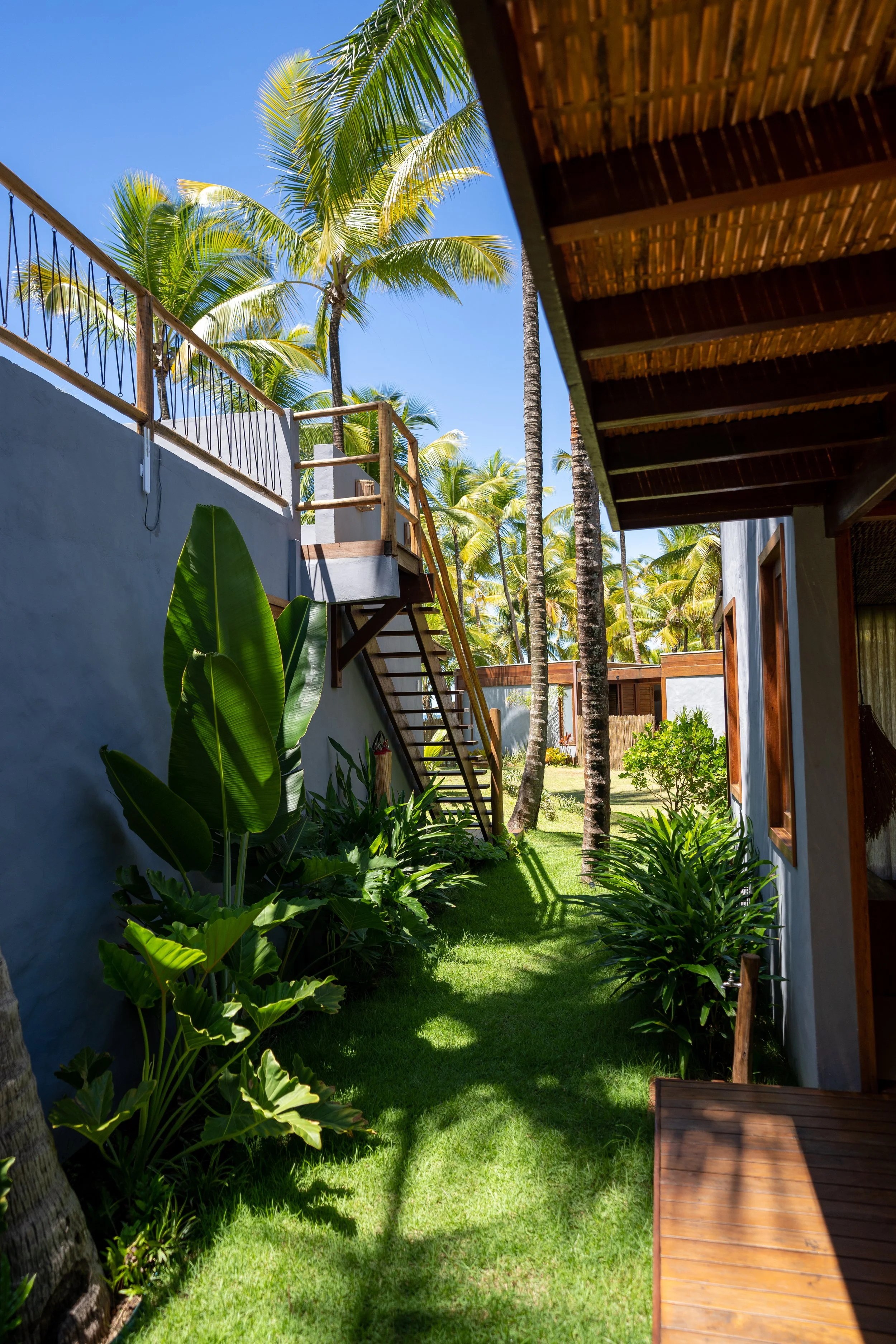 Jardim com árvores de coqueiro, plantas verdes e uma parede branca ao lado de uma casa de varanda de madeira em um ambiente tropical."