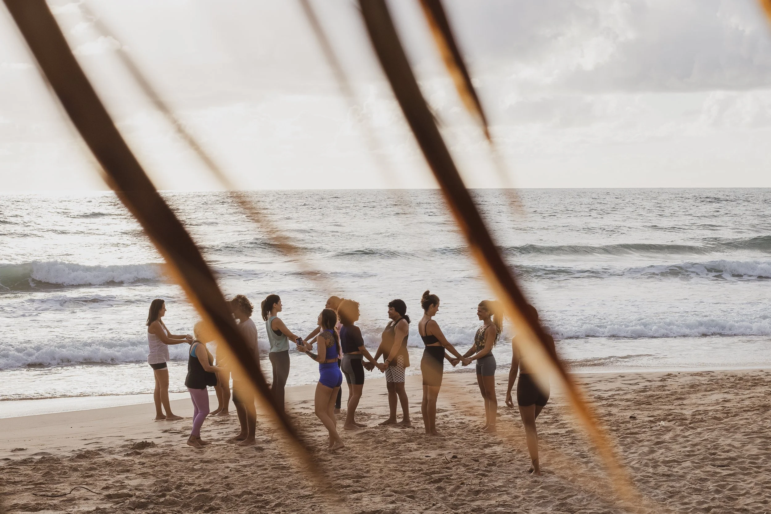 Grupo de pessoas de pé de frente ao mar na praia, tocando mãos, com palmeiras na frente e céu nublado ao fundo