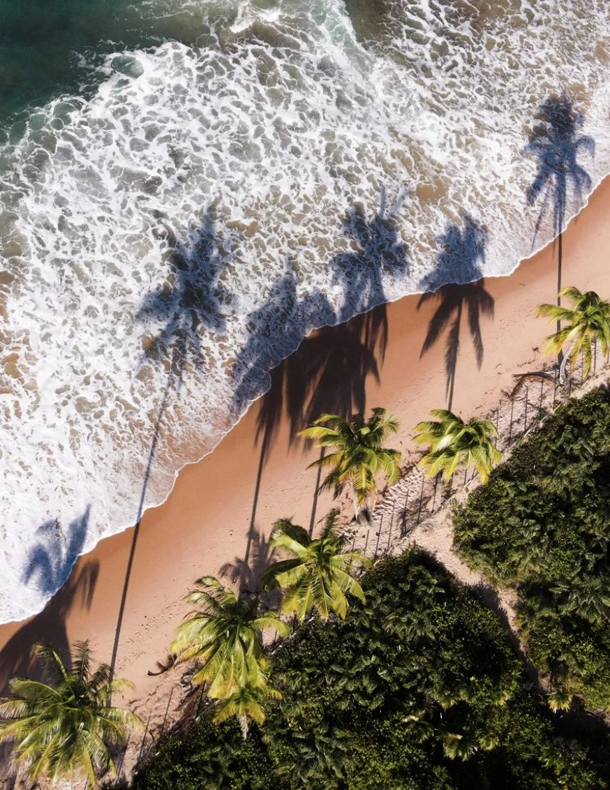 Praia com palmeiras, areia e ondas do mar, vista aérea.