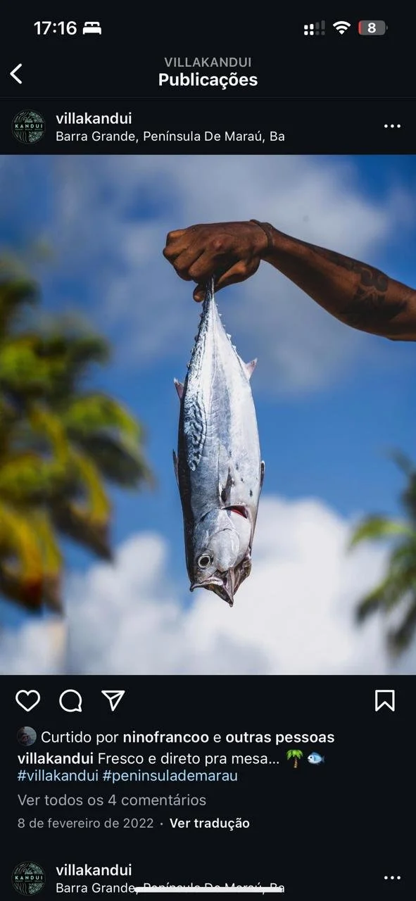 Pessoa segurando um peixe fresco com uma mão, fundo céu azul e vegetação. Imagem em Barra Grande, Península de Maraú, Bahia.