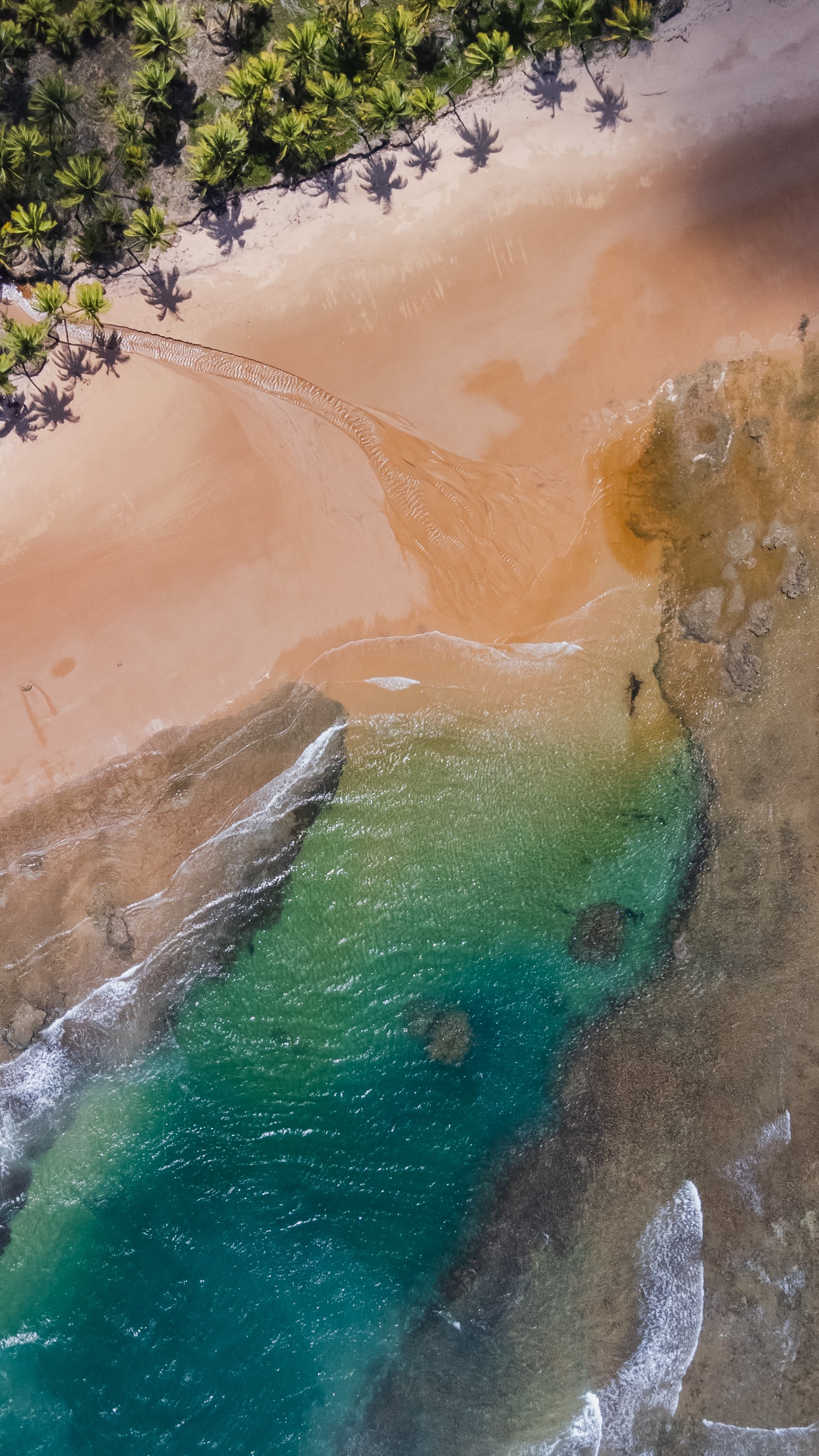 Vista aérea de uma praia com água turquesa, areia dourada e coqueiros ao fundo.