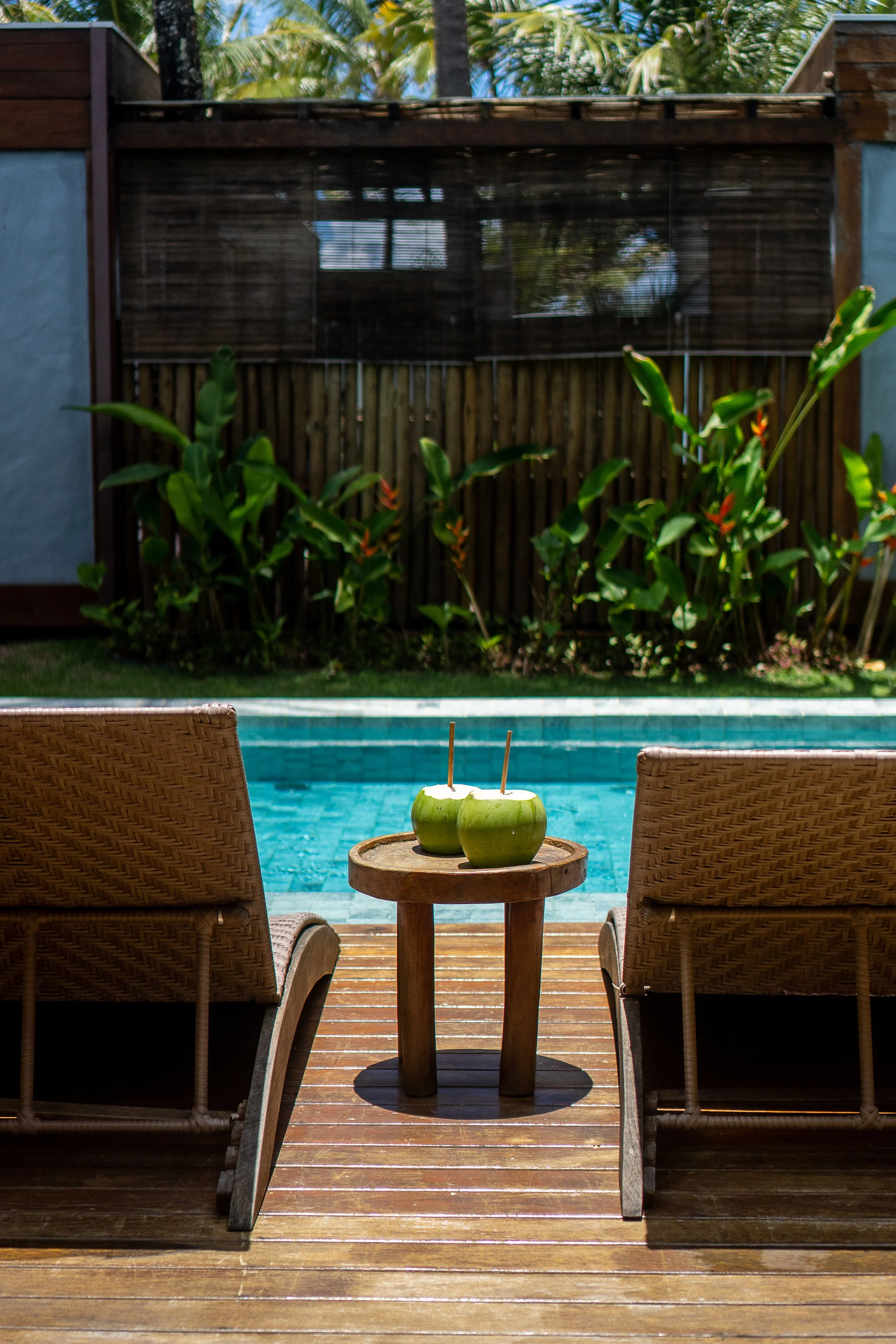 Cadeiras de piscina de frente para uma piscina com duas cocos verdes com canudos no centro, sobre uma mesa de madeira, numa área ao ar livre com plantas e cerca de madeira ao fundo.