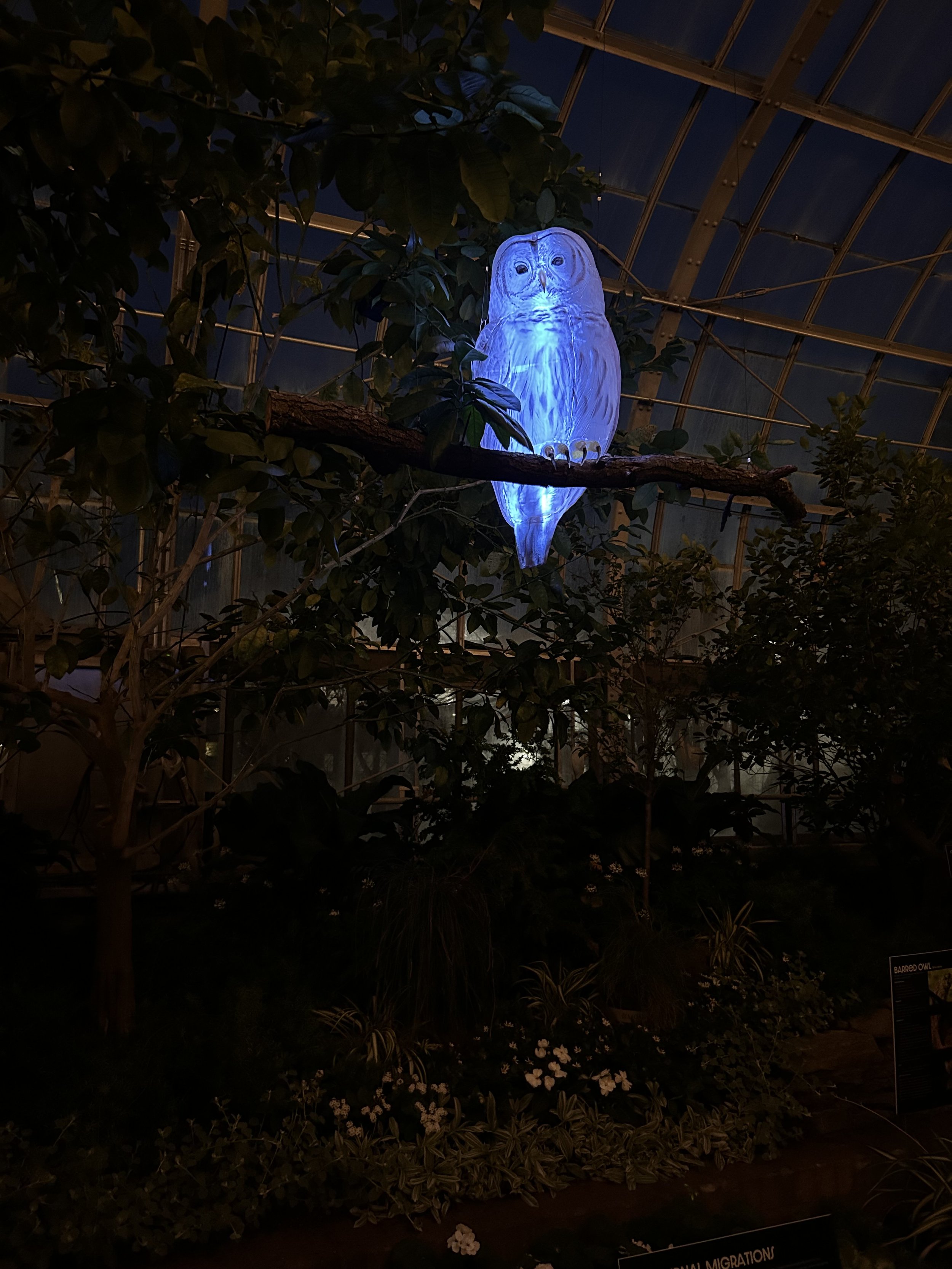 Moonlight Menagerie @ Krohn Conservatory 2026