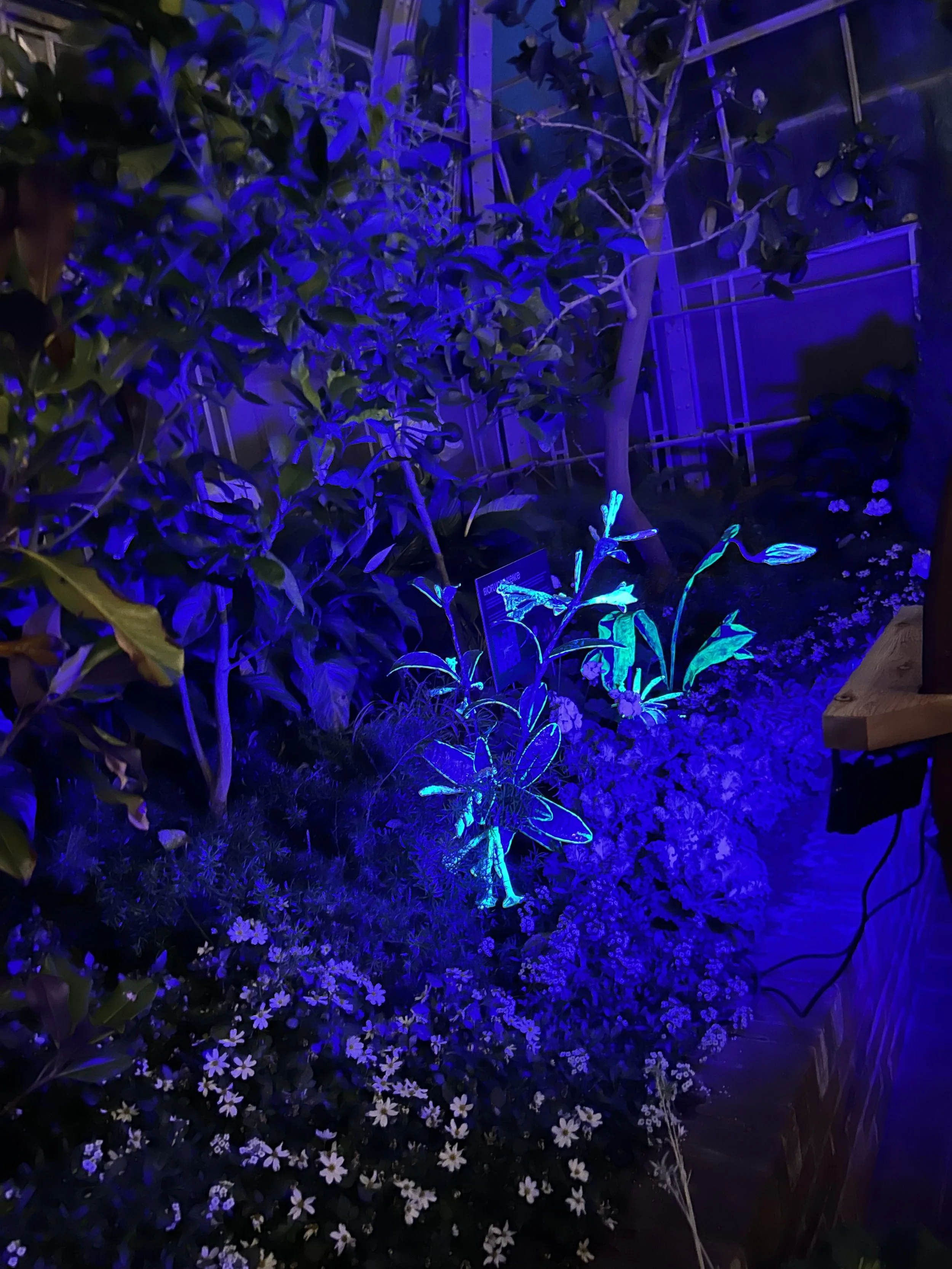 Moonlight Menagerie @ Krohn Conservatory 2026