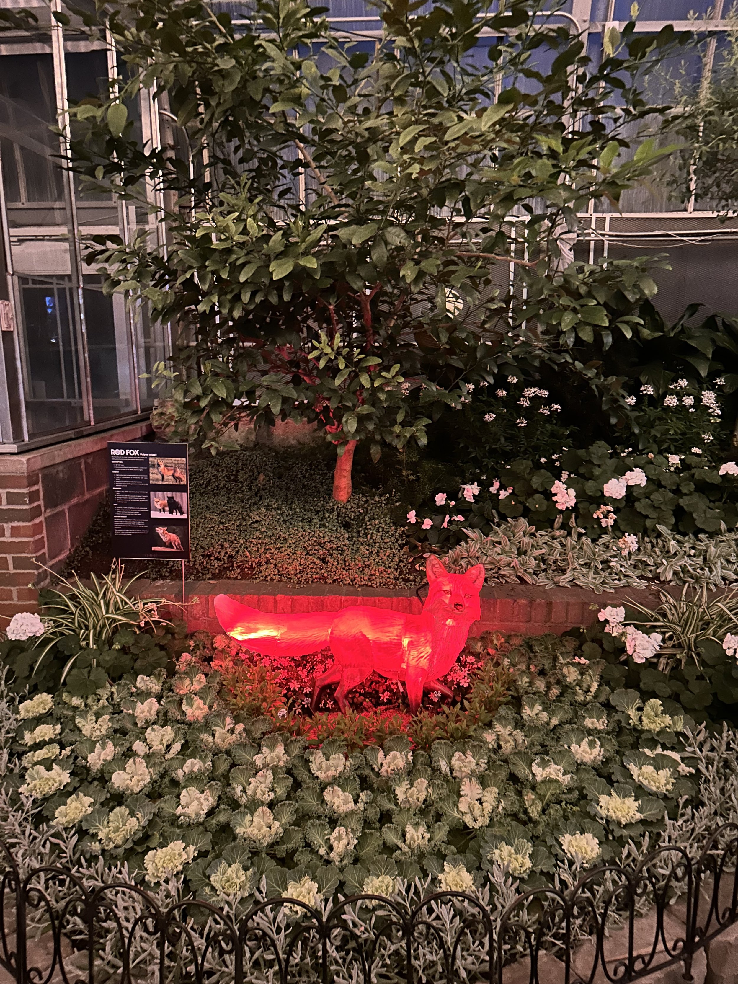 Moonlight Menagerie @ Krohn Conservatory 2026
