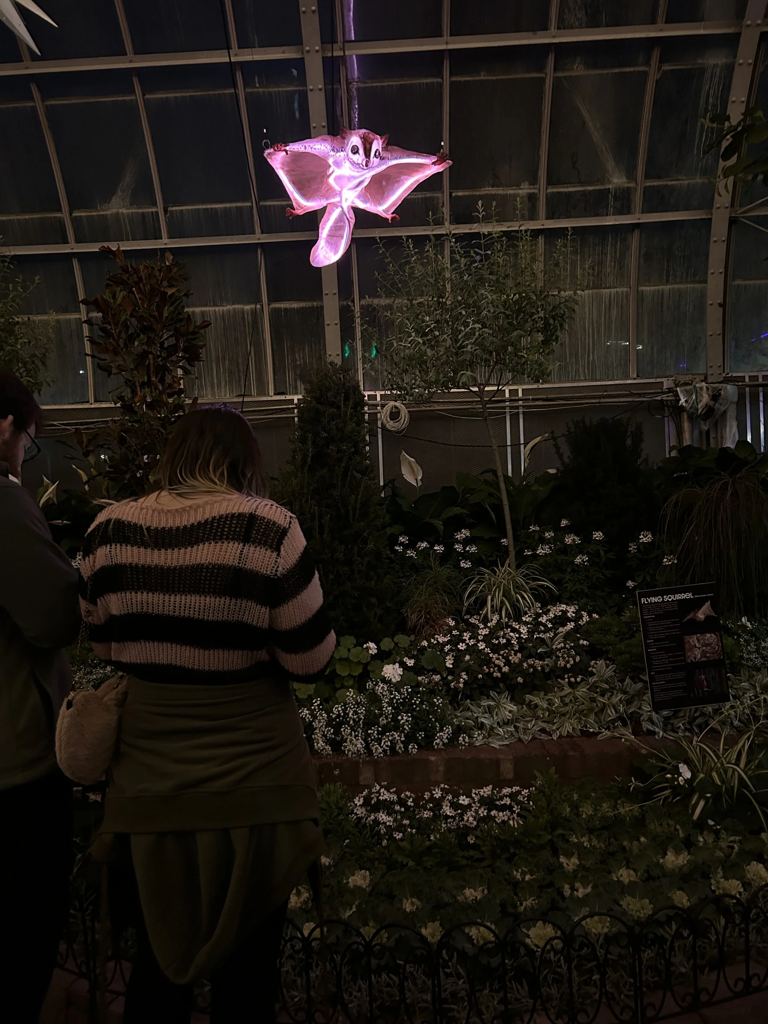 Moonlight Menagerie @ Krohn Conservatory 2026