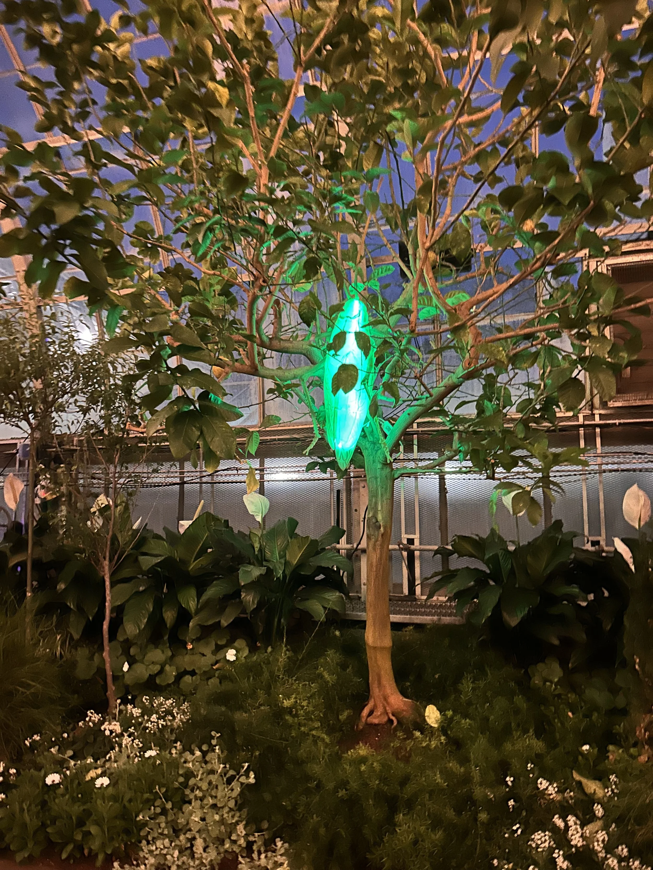 Moonlight Menagerie @ Krohn Conservatory 2026