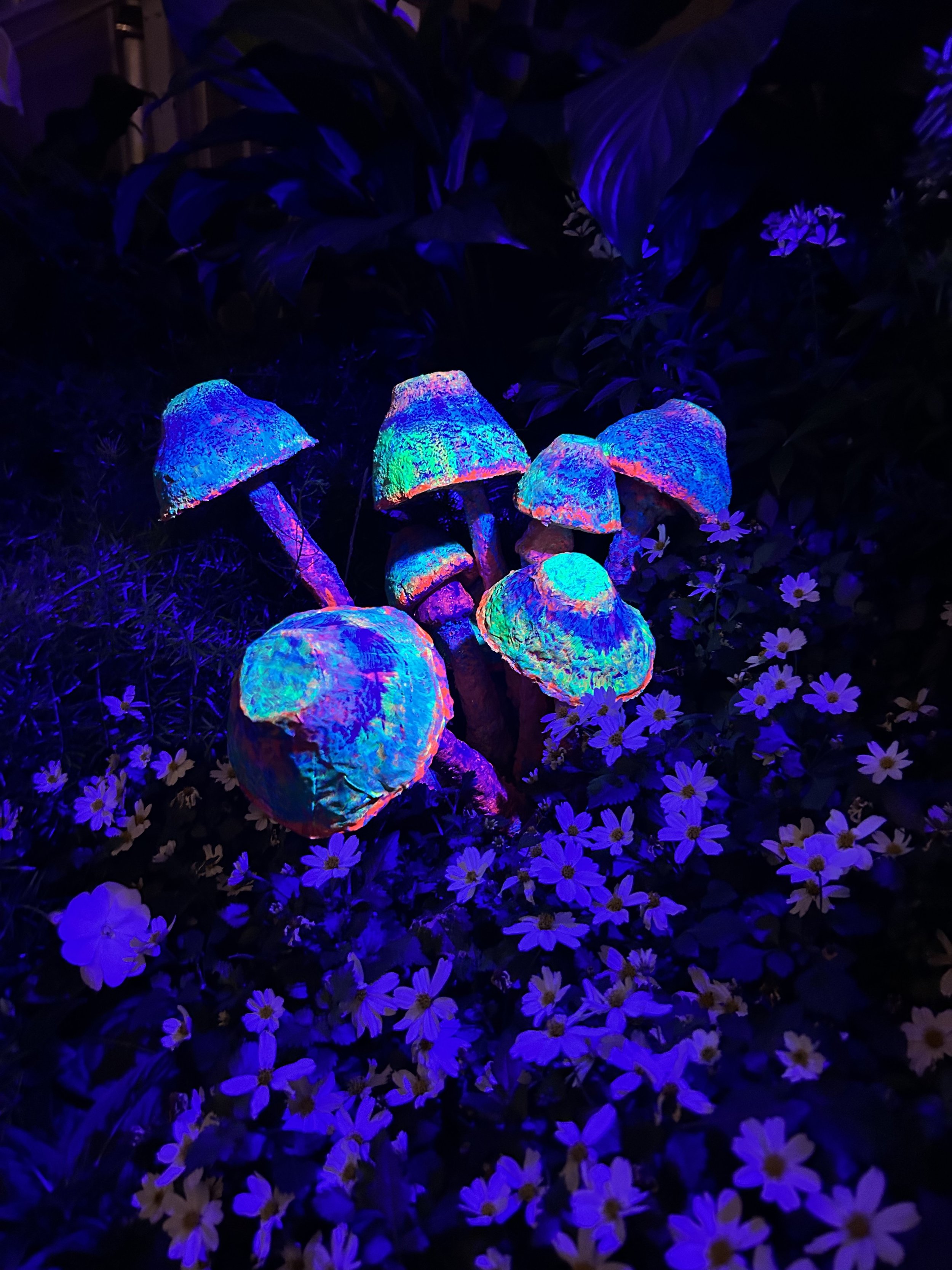 Moonlight Menagerie @ Krohn Conservatory 2026