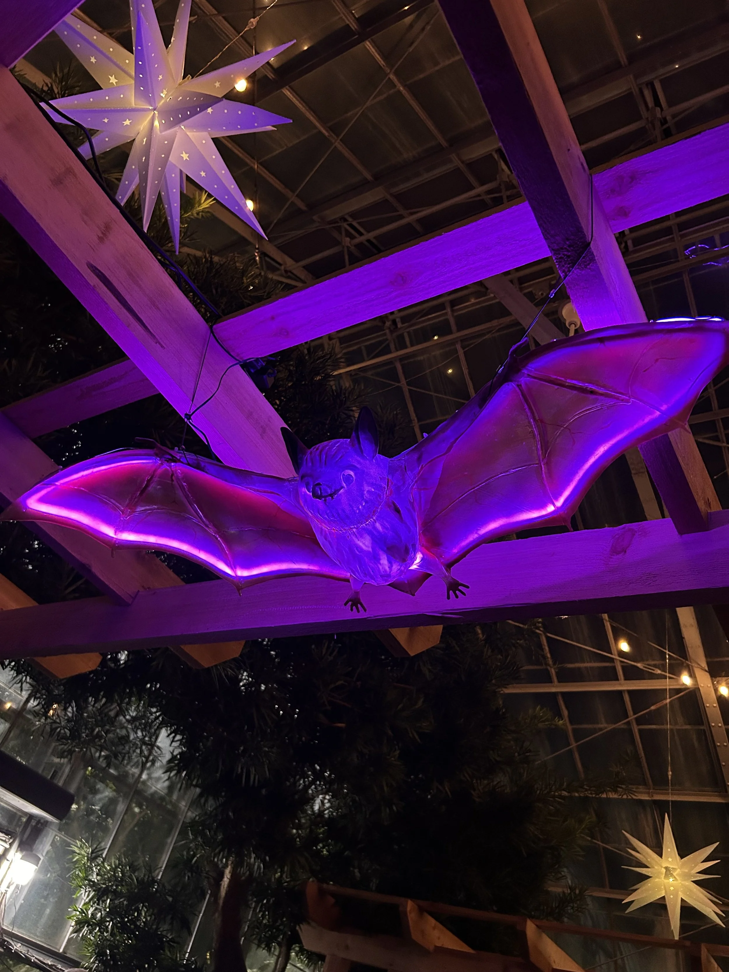 Moonlight Menagerie @ Krohn Conservatory 2026