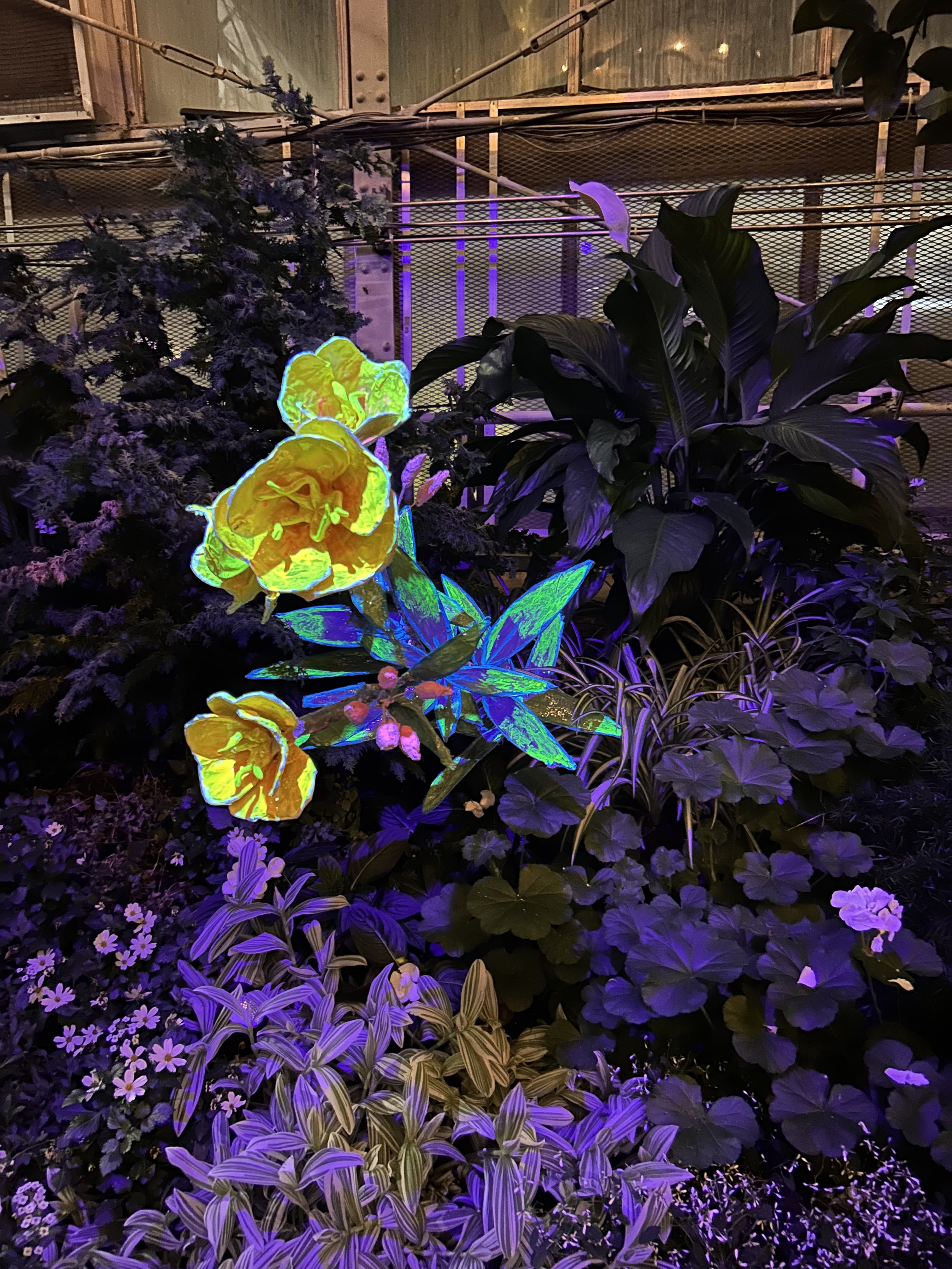 Moonlight Menagerie @ Krohn Conservatory 2026