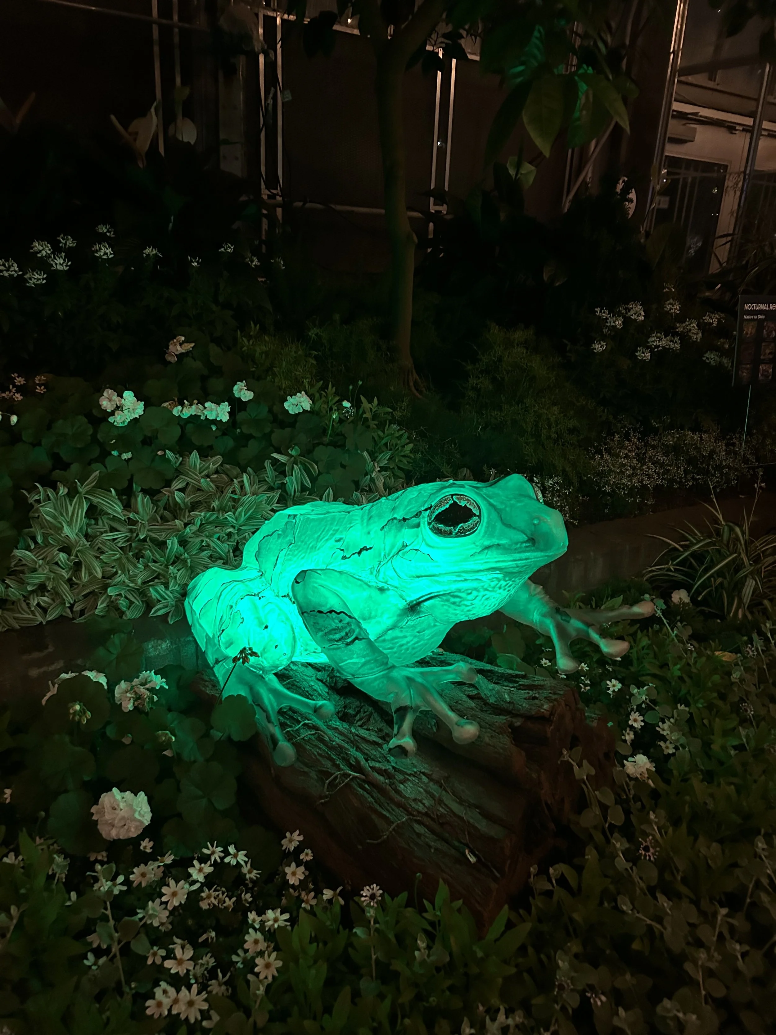 Moonlight Menagerie @ Krohn Conservatory 2026