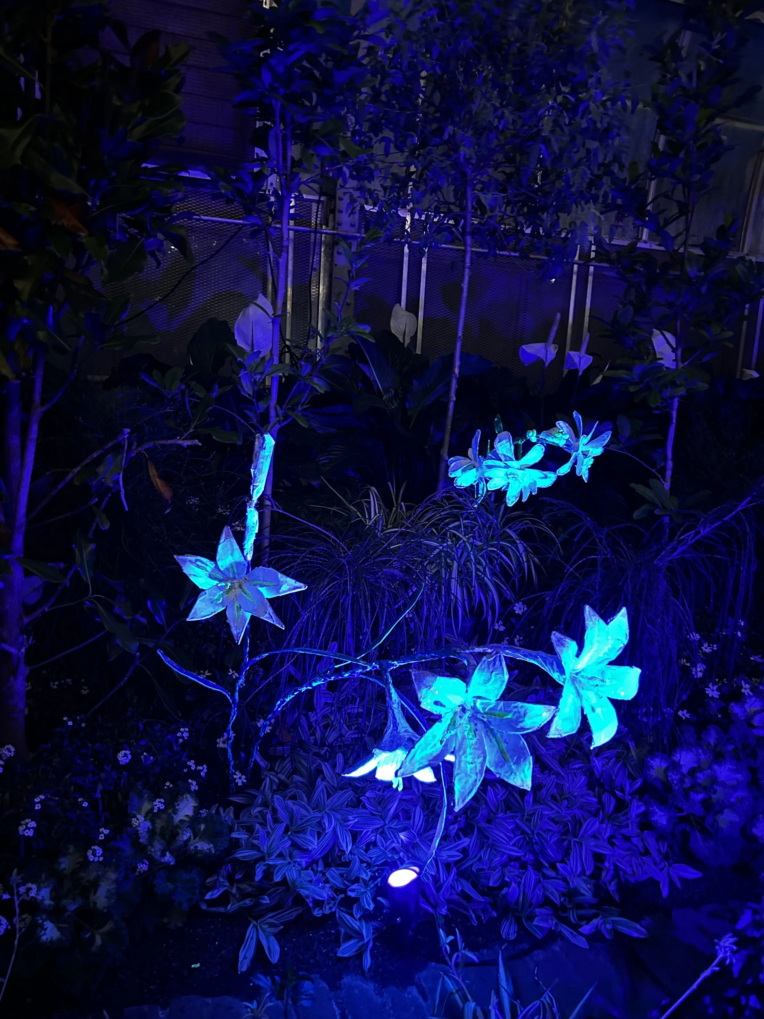 Moonlight Menagerie @ Krohn Conservatory 2026