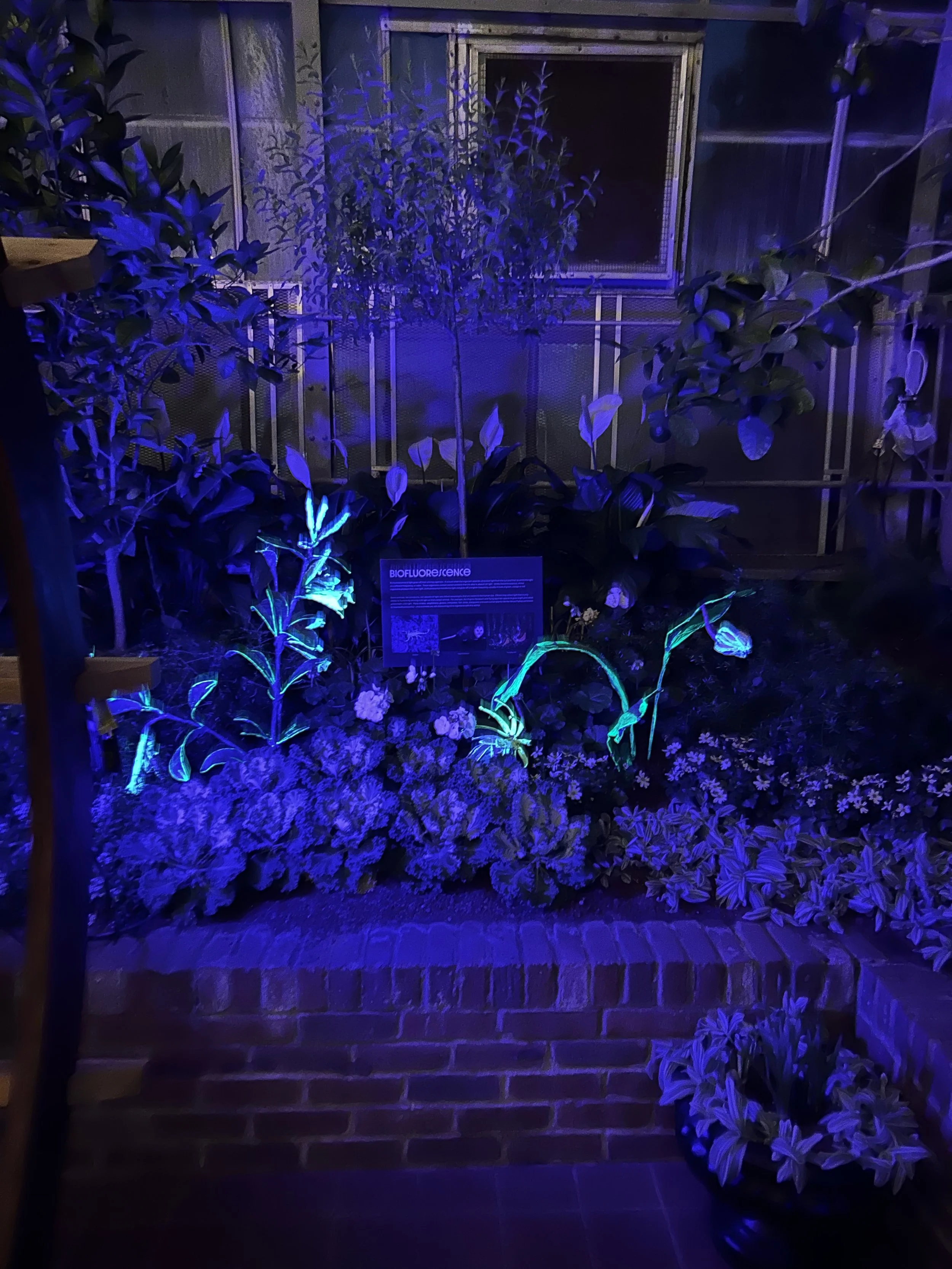 Moonlight Menagerie @ Krohn Conservatory 2026