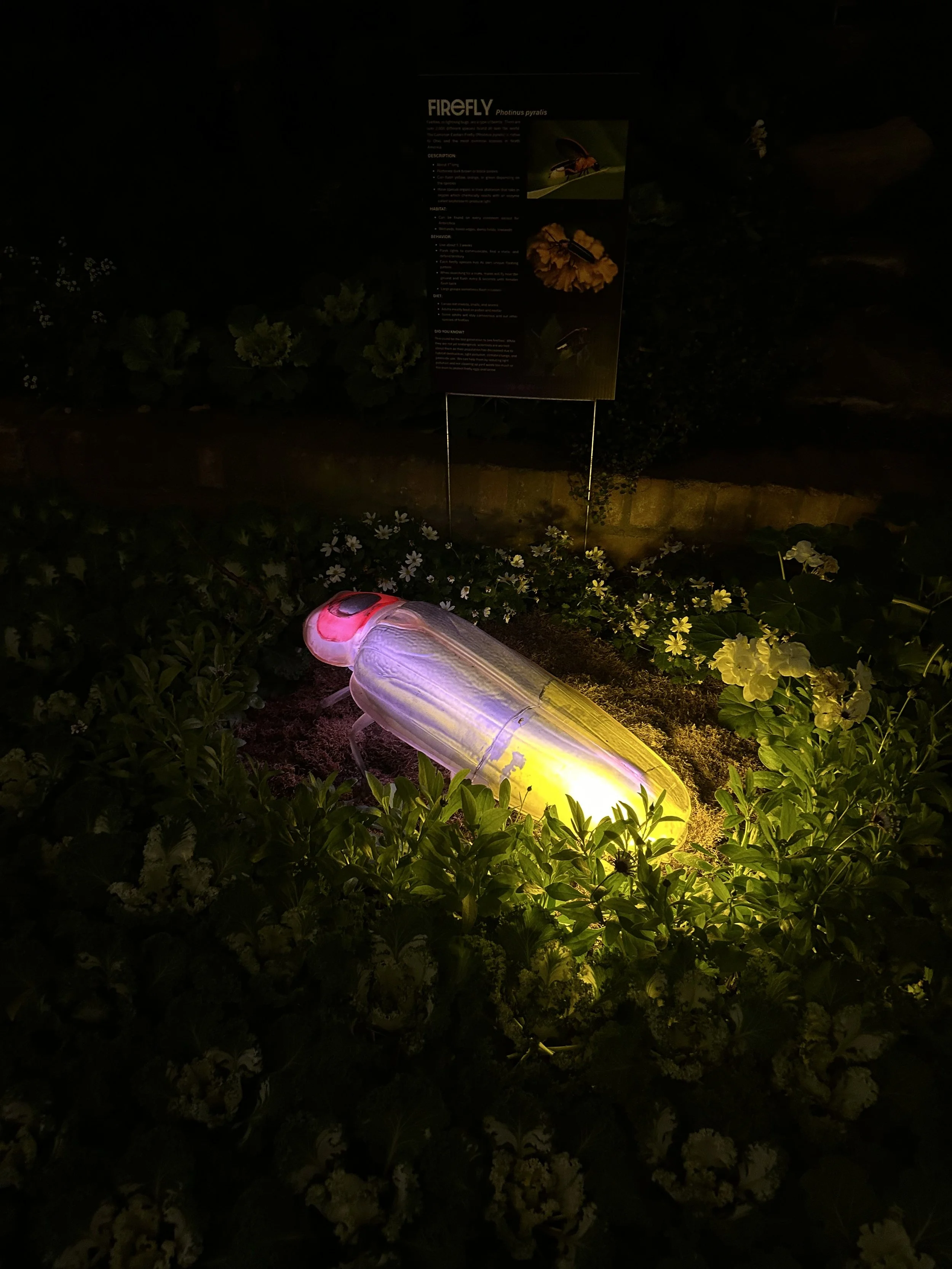 Moonlight Menagerie @ Krohn Conservatory 2026