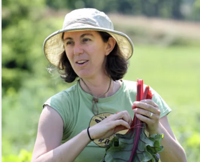 Screenshot 2024-12-19 at 5.31.13 PM.png