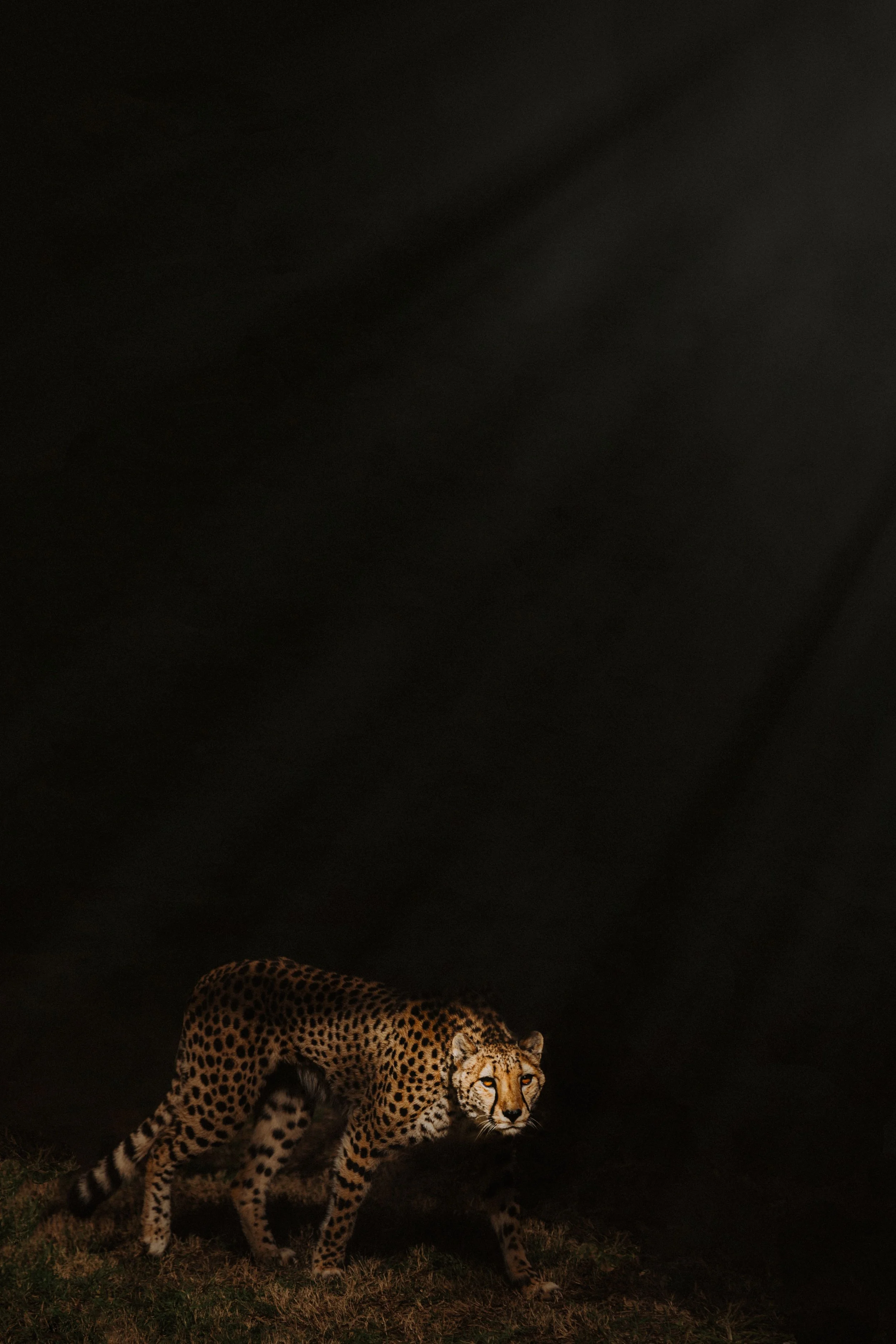 0T8A8160-Exposure.jpg
