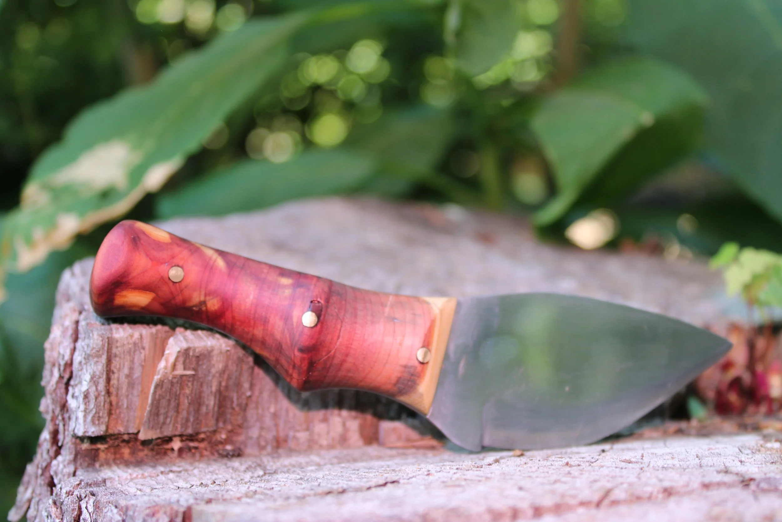 Hand forged knife with cedar handle