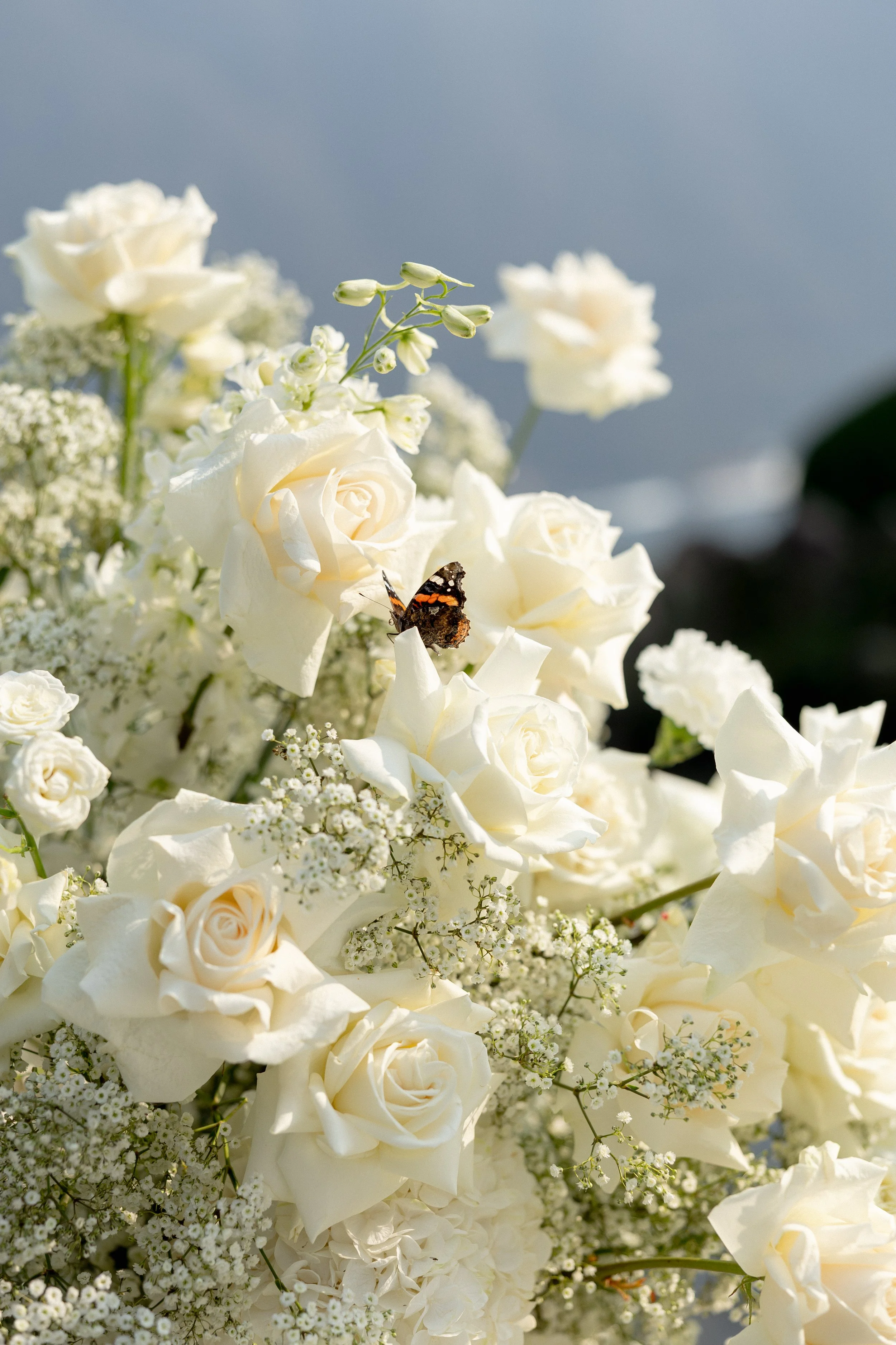 Sarah & Robert-4744.jpg