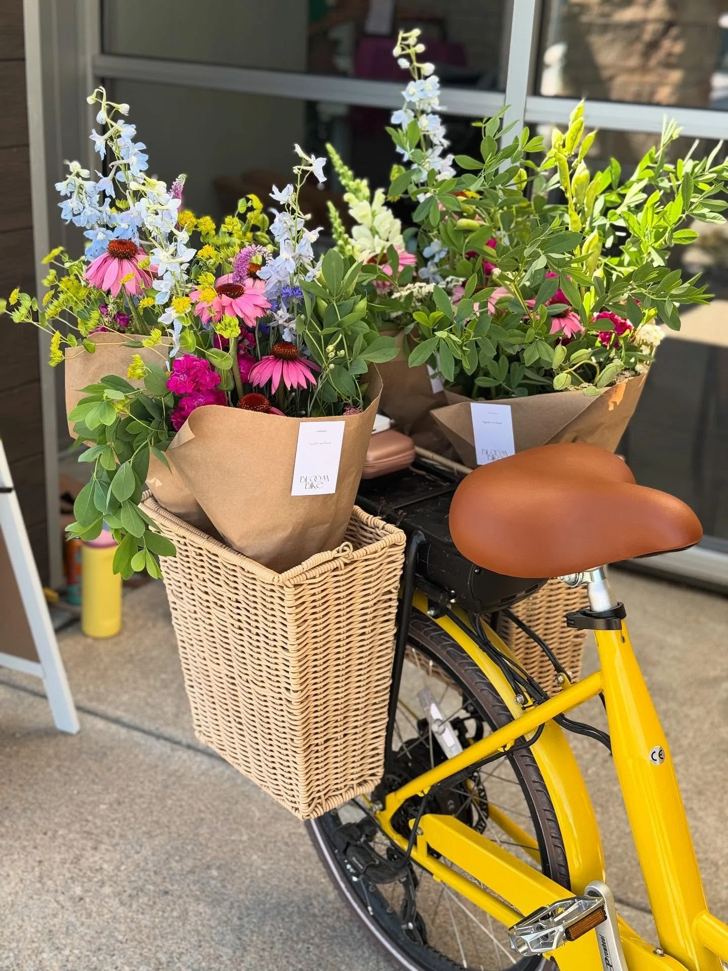 Summer so far 🌼☀️🕶️💐