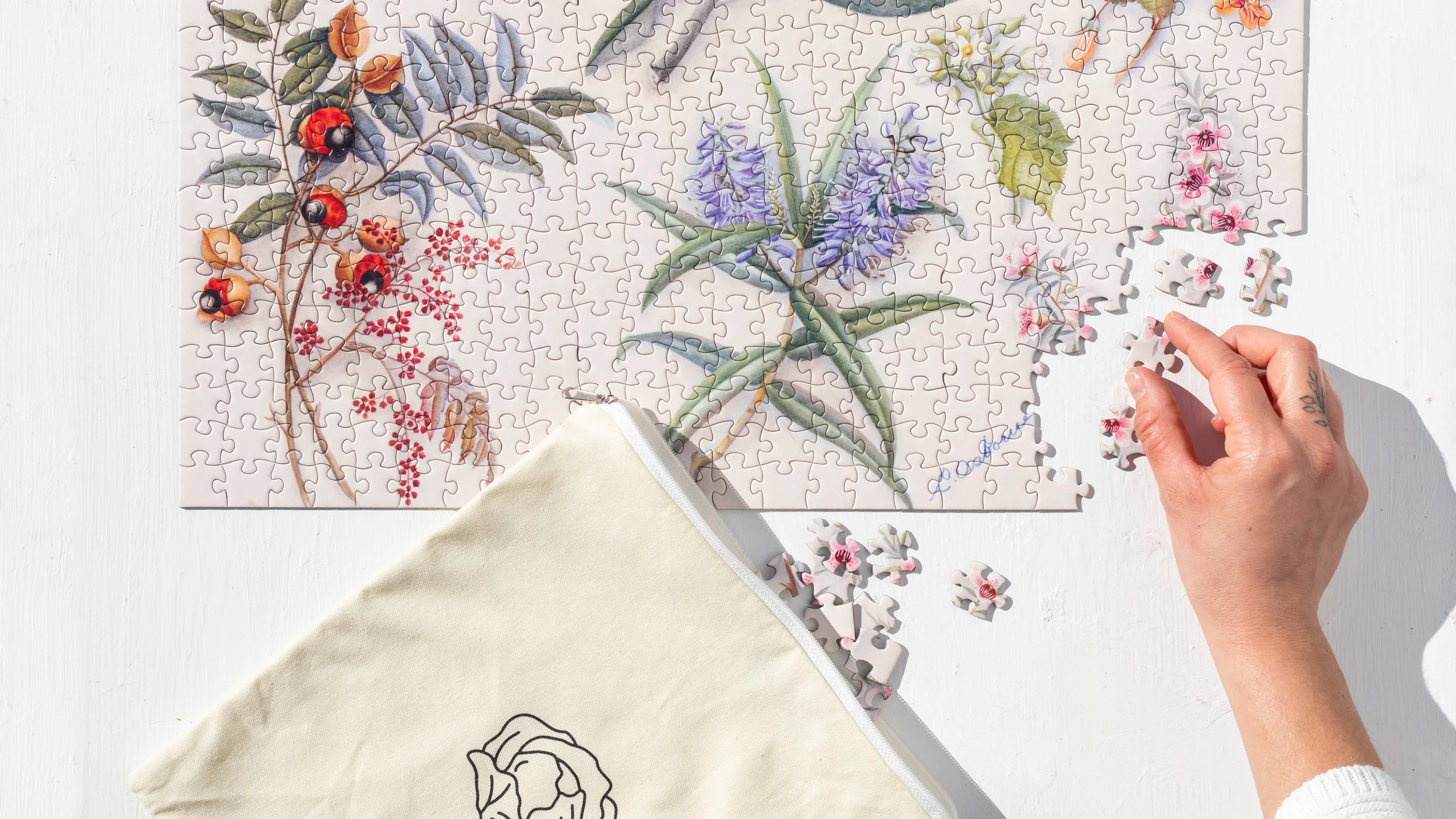 Fanny Osborne puzzle - Landscape.jpg