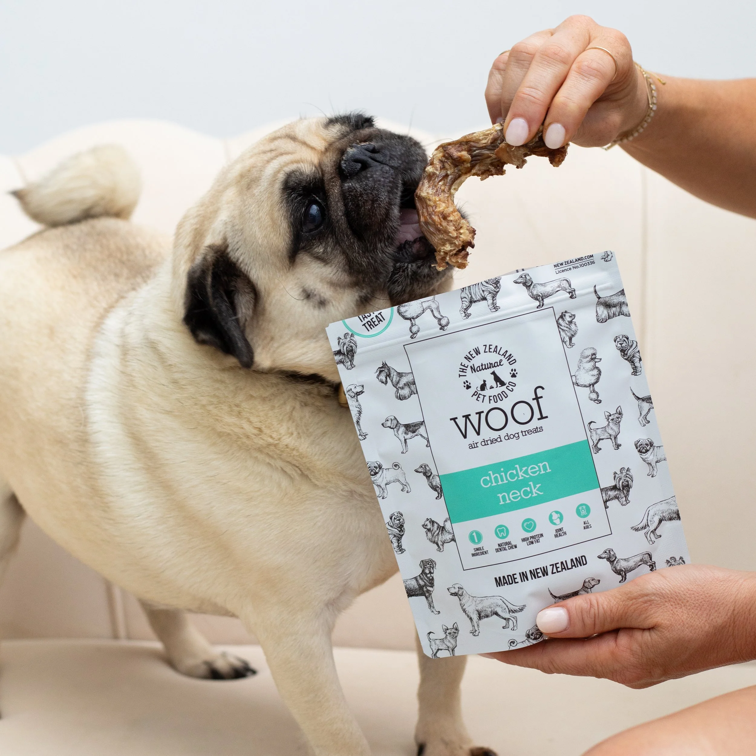 Product photography of a pug dog being given dog treats.