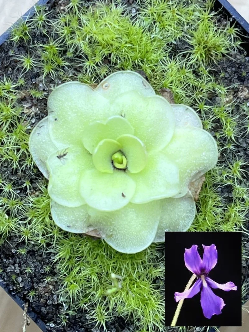 Image 4-28-26 at 12.42 PM.jpg